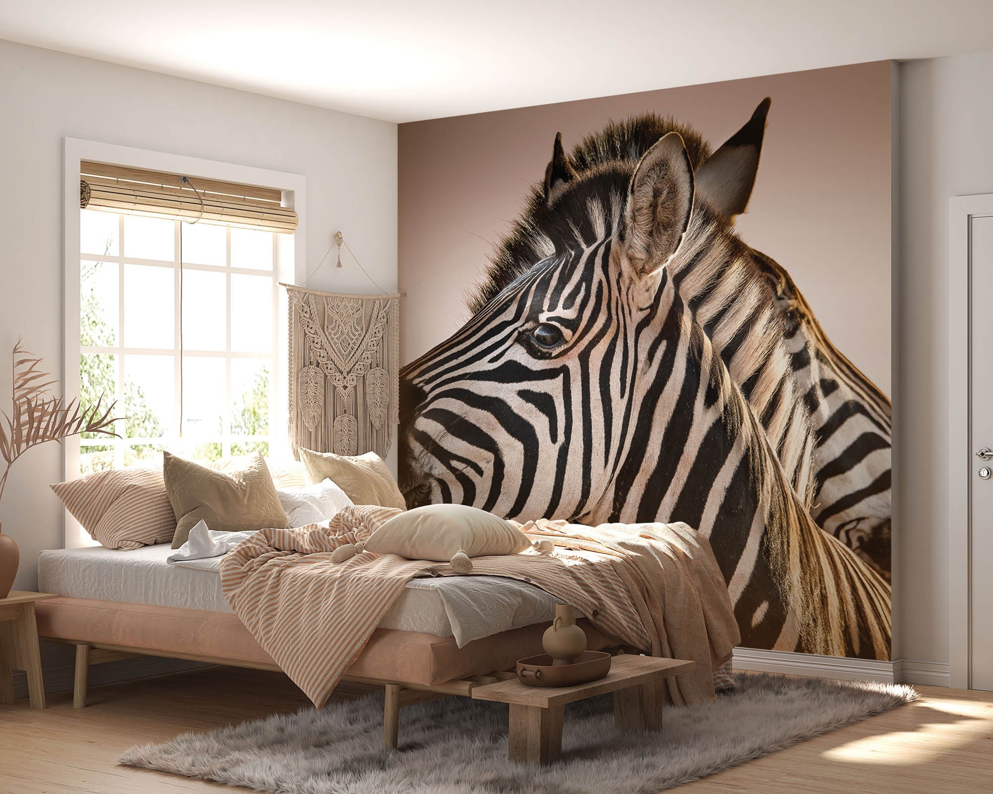 Deux zèbres avec les têtes rapprochées - LW00195