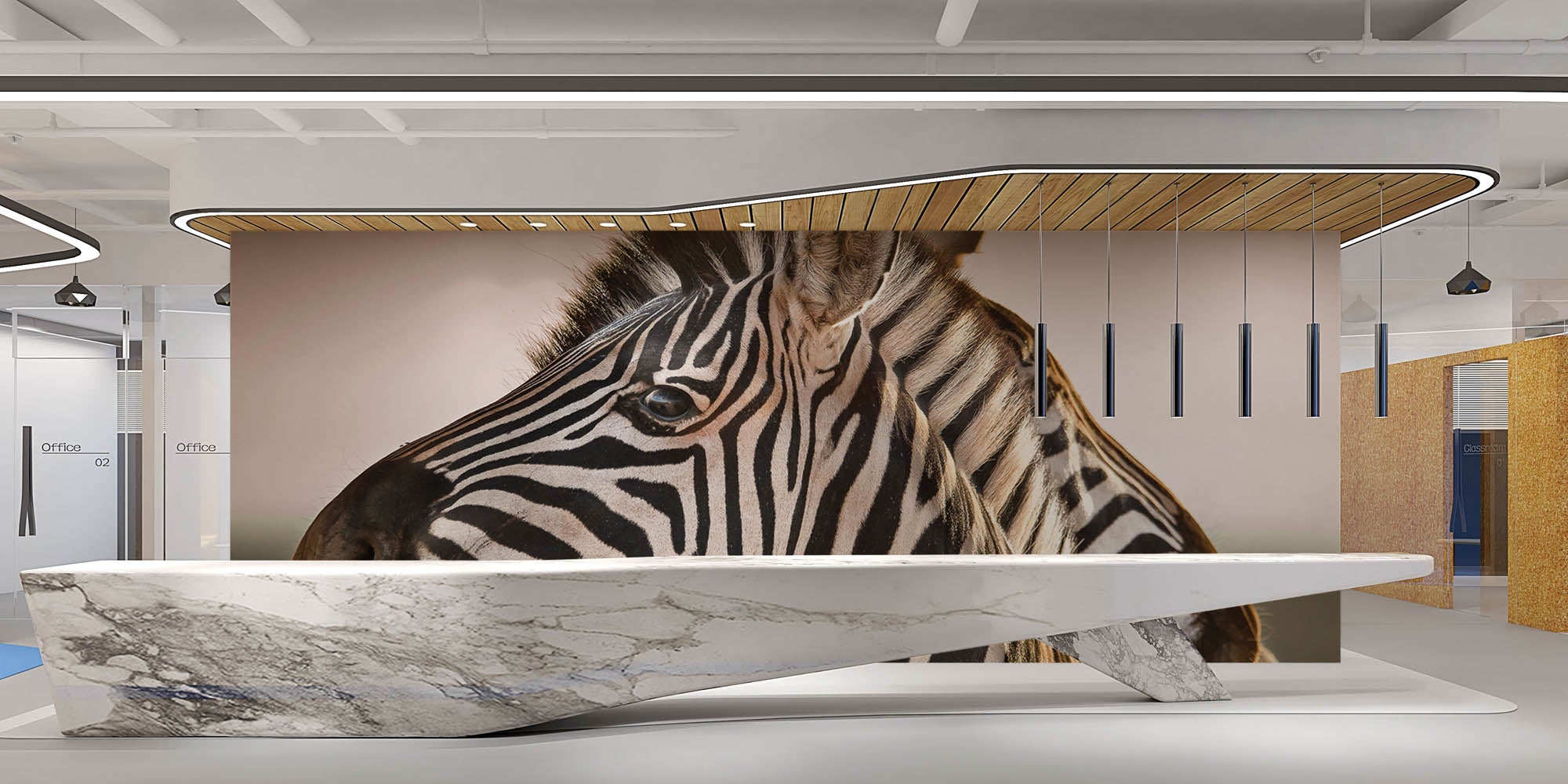 Deux zèbres avec les têtes rapprochées - LW00195