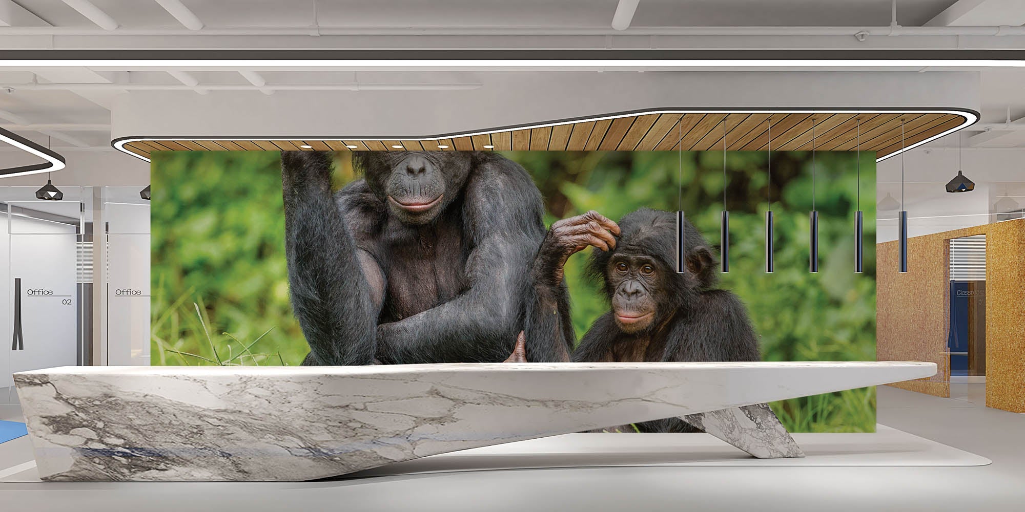 Bonobo aap met jong - LW00196