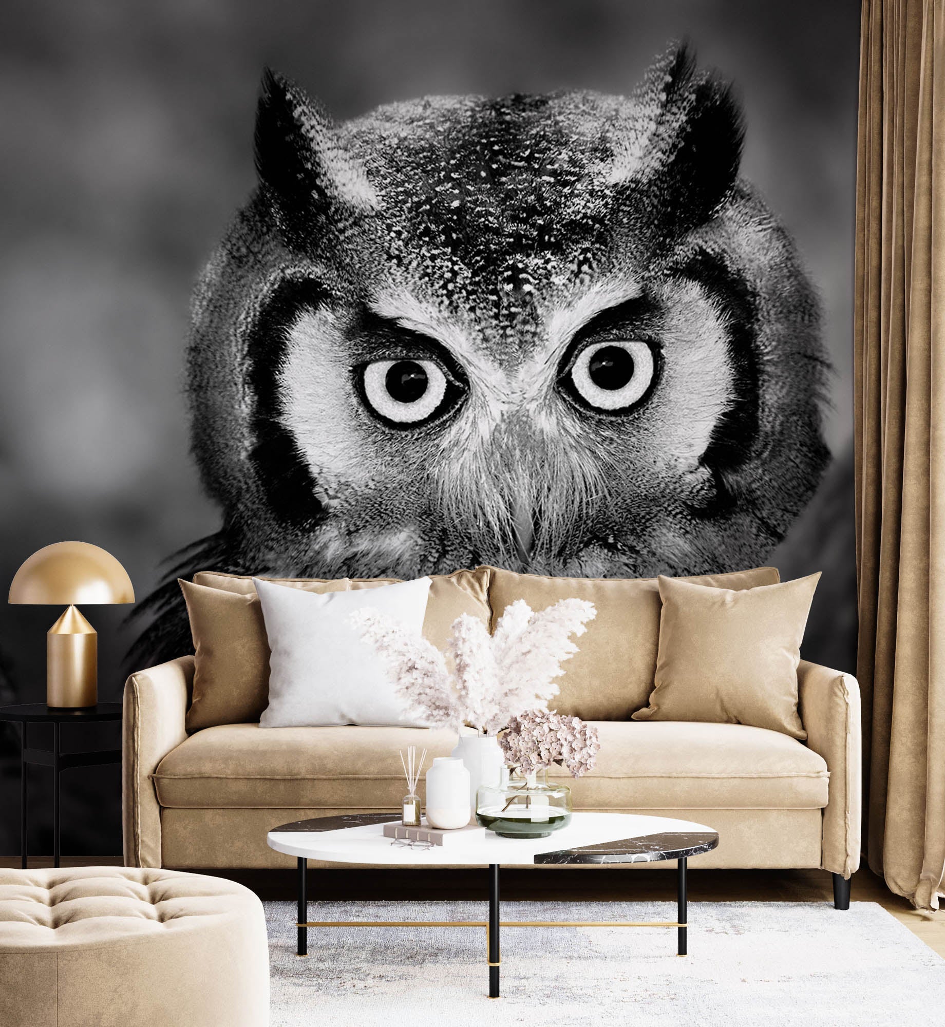 Uil in close-up - LW00205