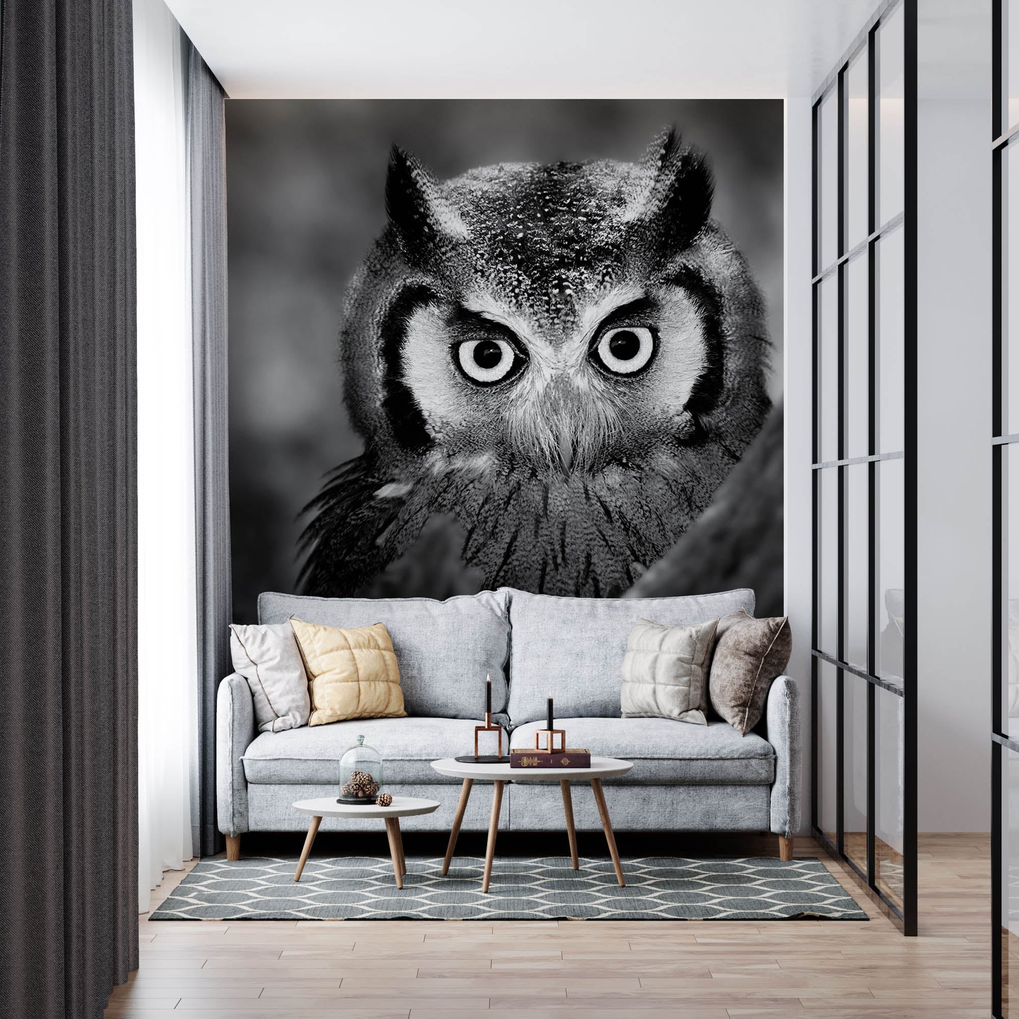 Uil in close-up - LW00205