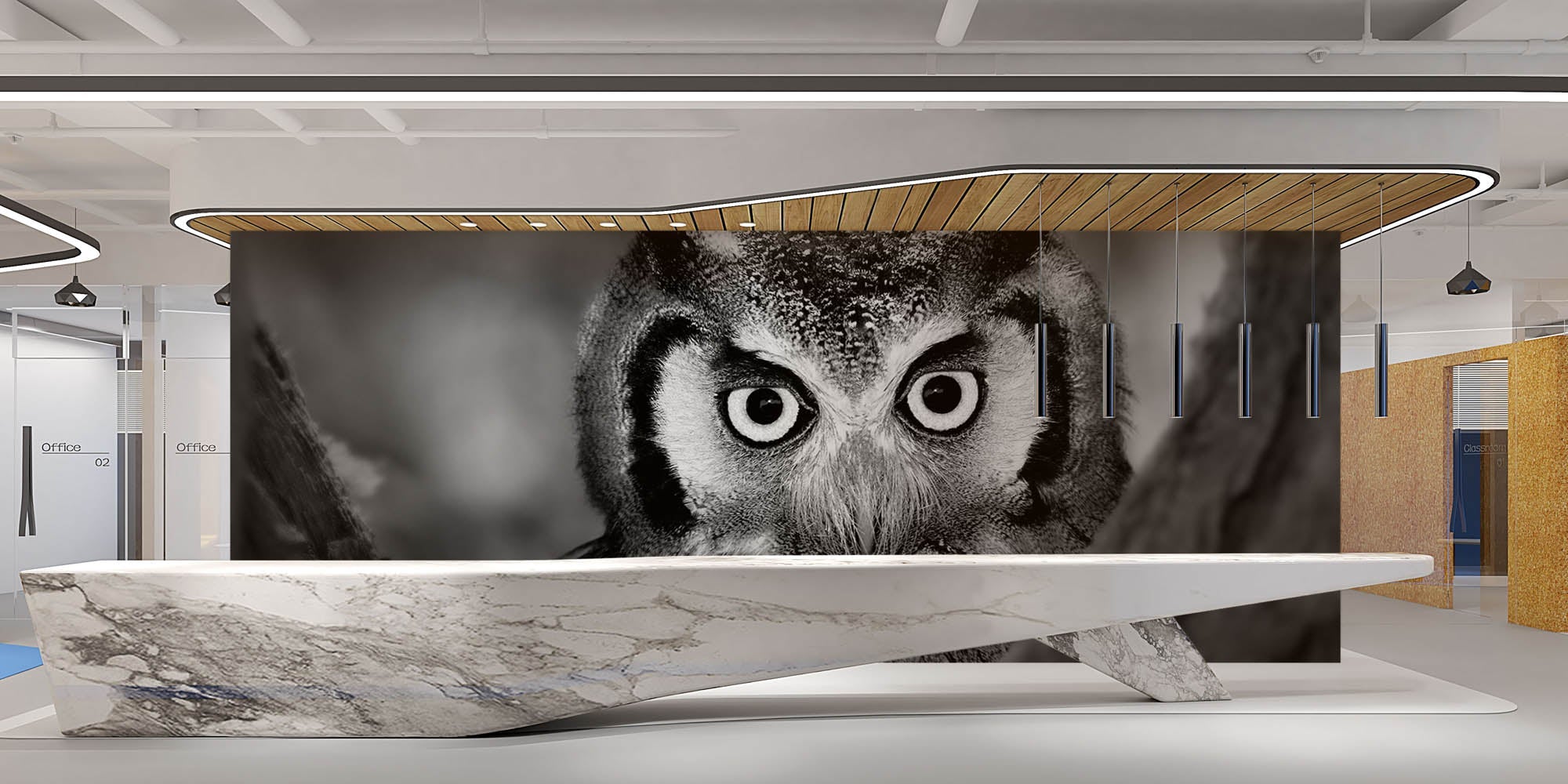 Uil in close-up - LW00205