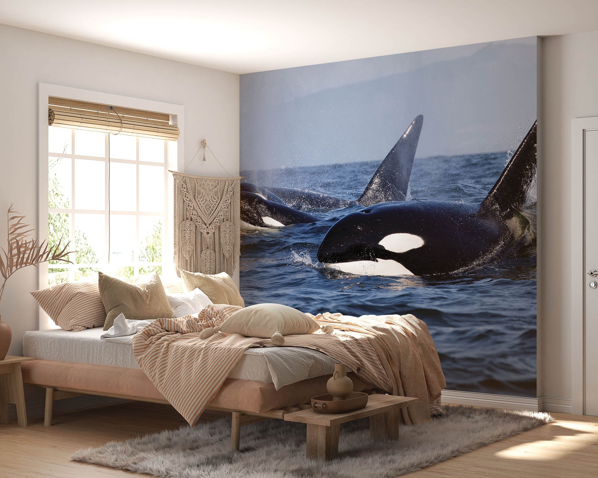 Groepje orka's - LW00197