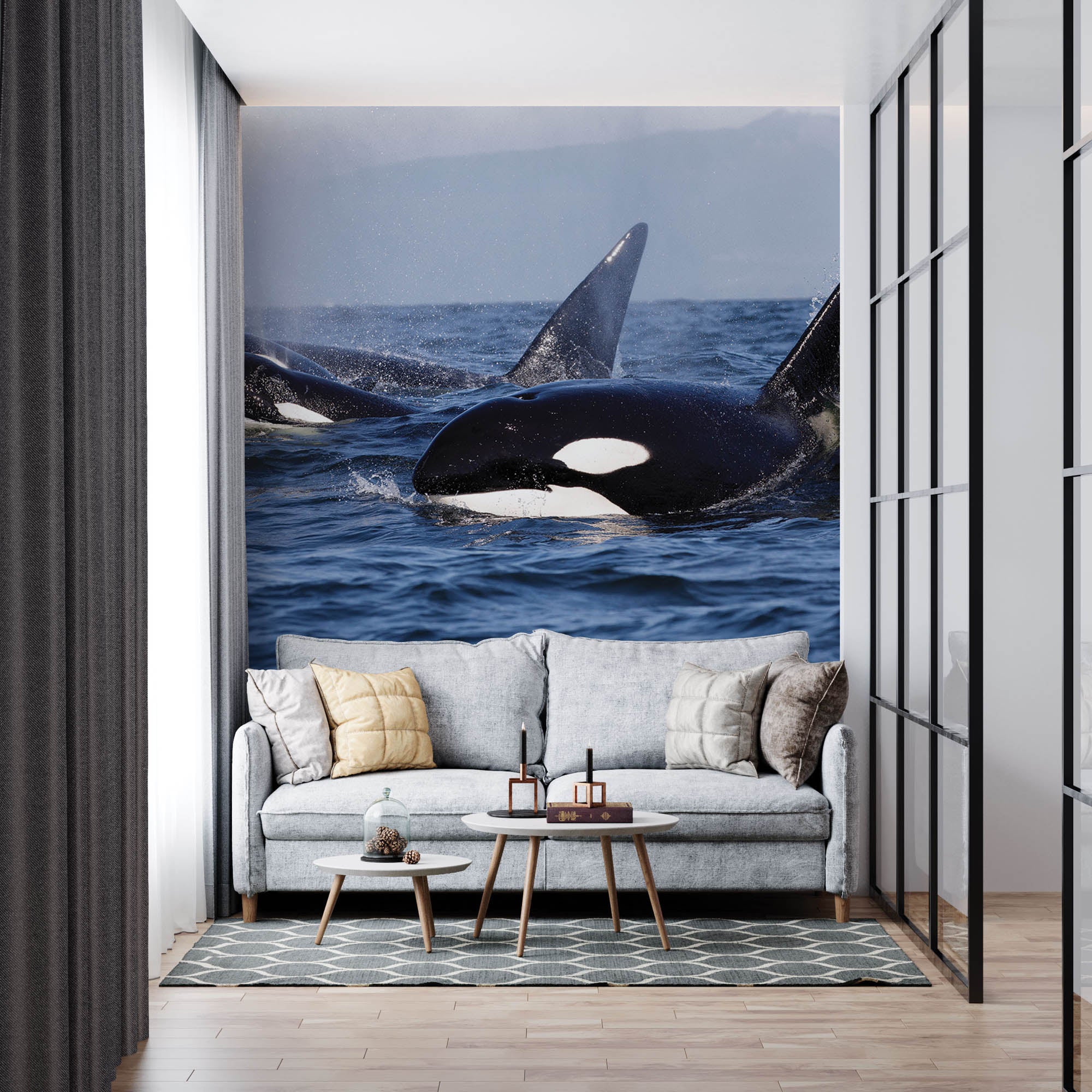 Groepje orka's - LW00197