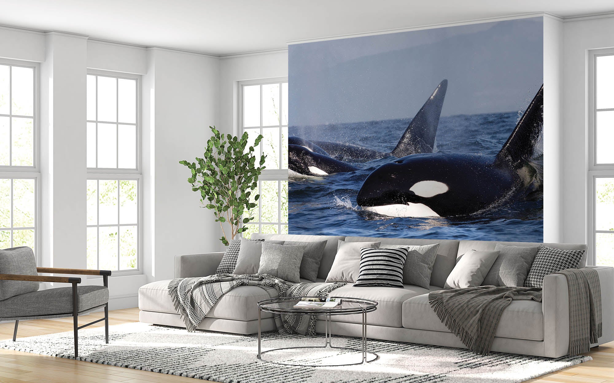 Groepje orka's - LW00197