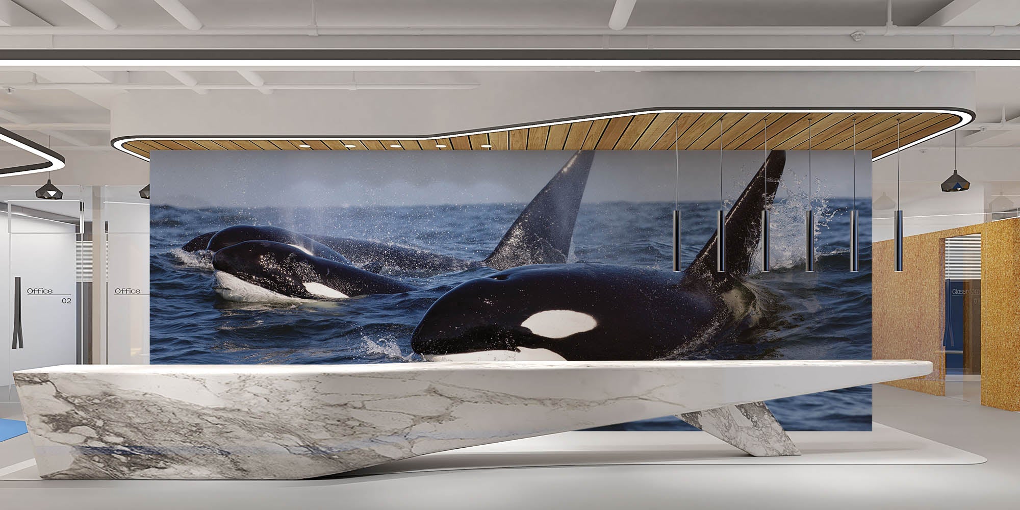 Groepje orka's - LW00197