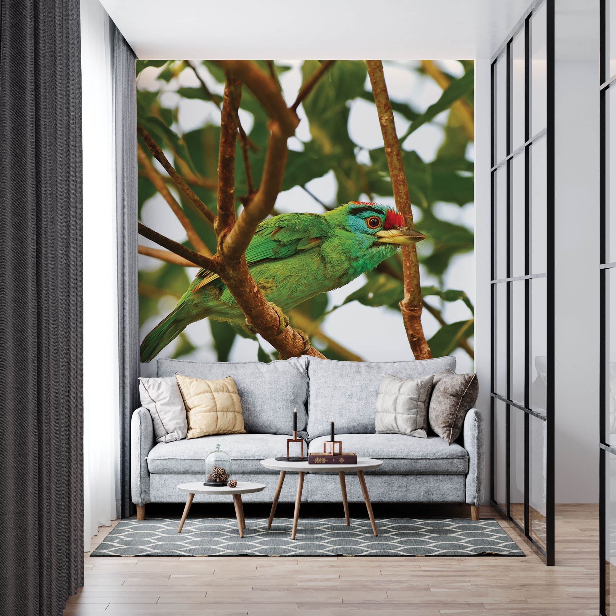 Blauwkeelbaardvogel op tak - LW00198