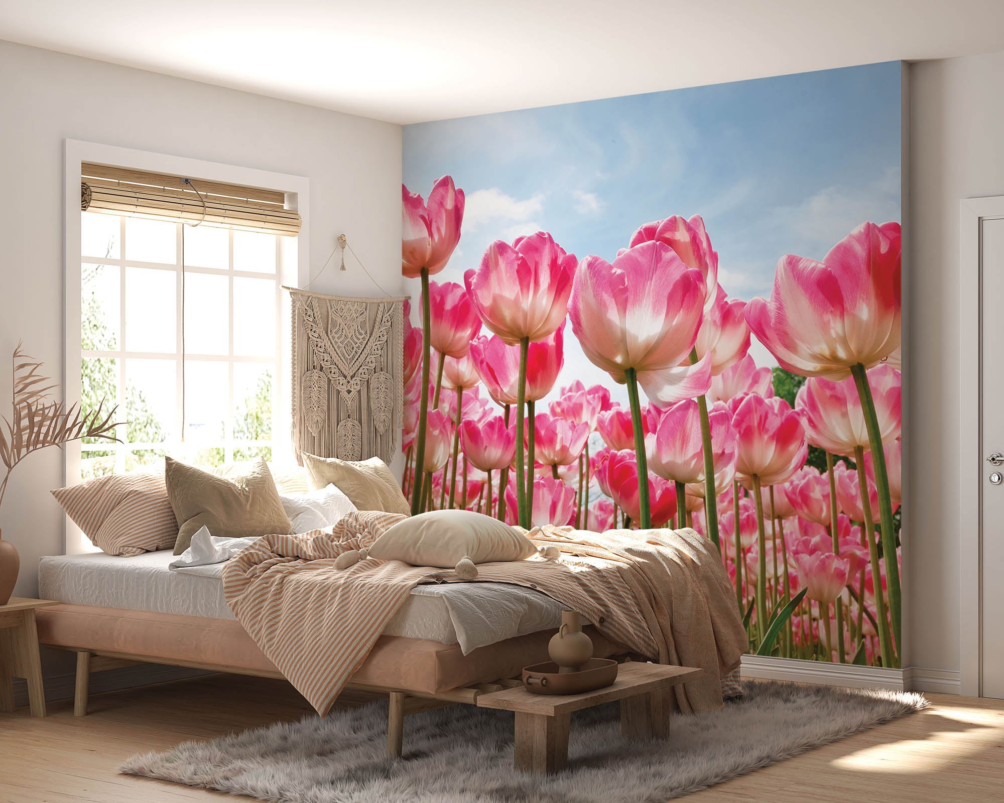 Tulpenveld - LW00252