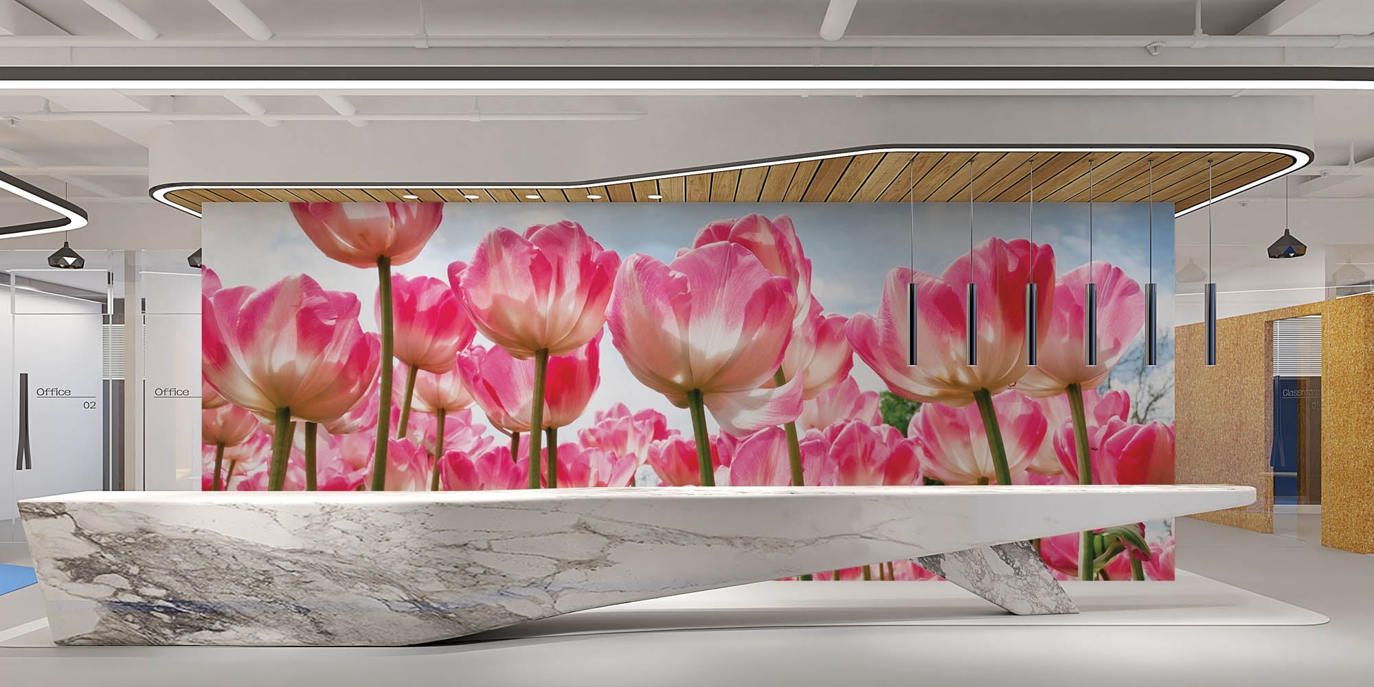 Tulpenveld - LW00252