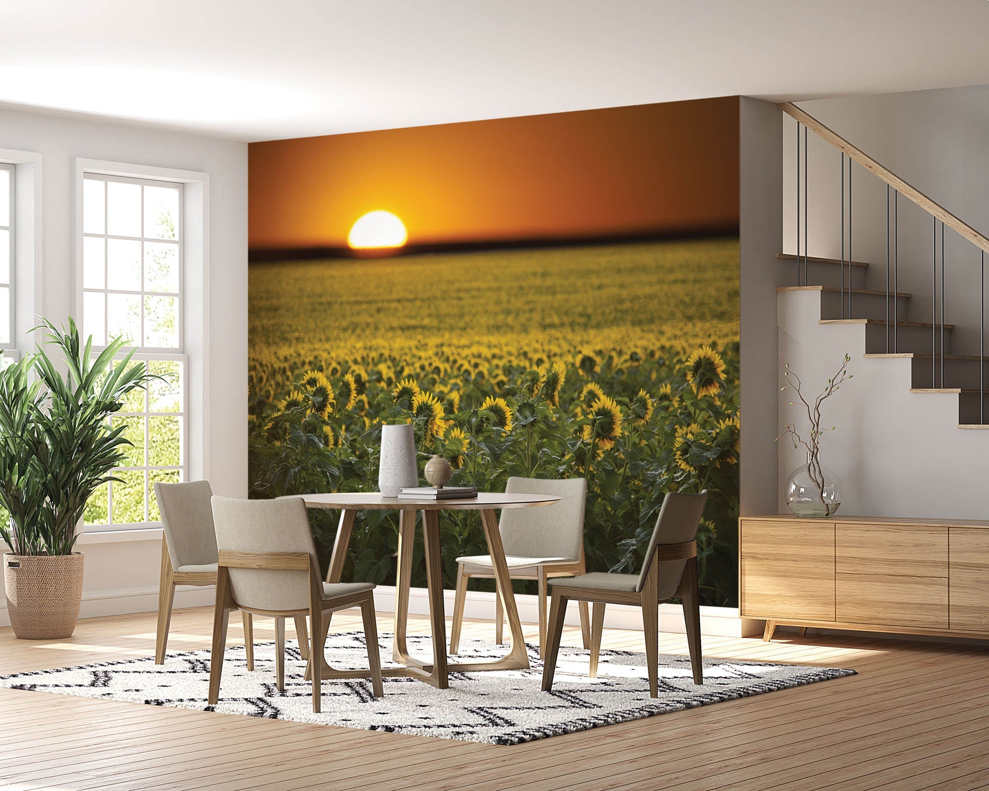 Zonnebloemenveld en zonsopgang - LW00253