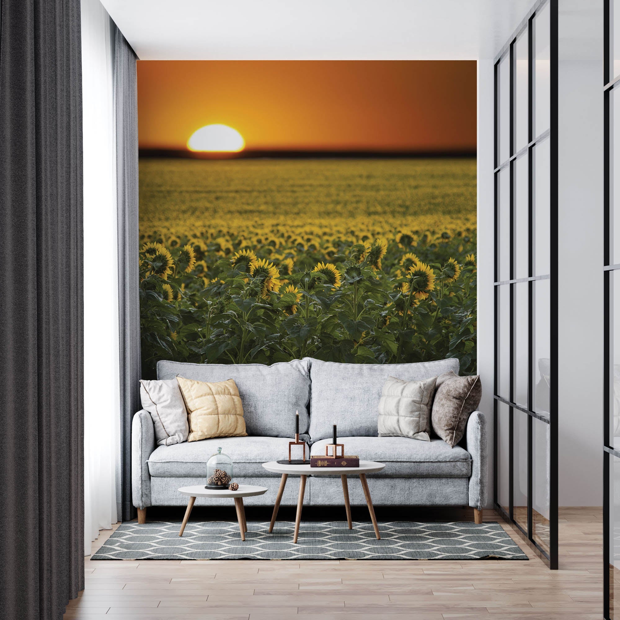 Zonnebloemenveld en zonsopgang - LW00253