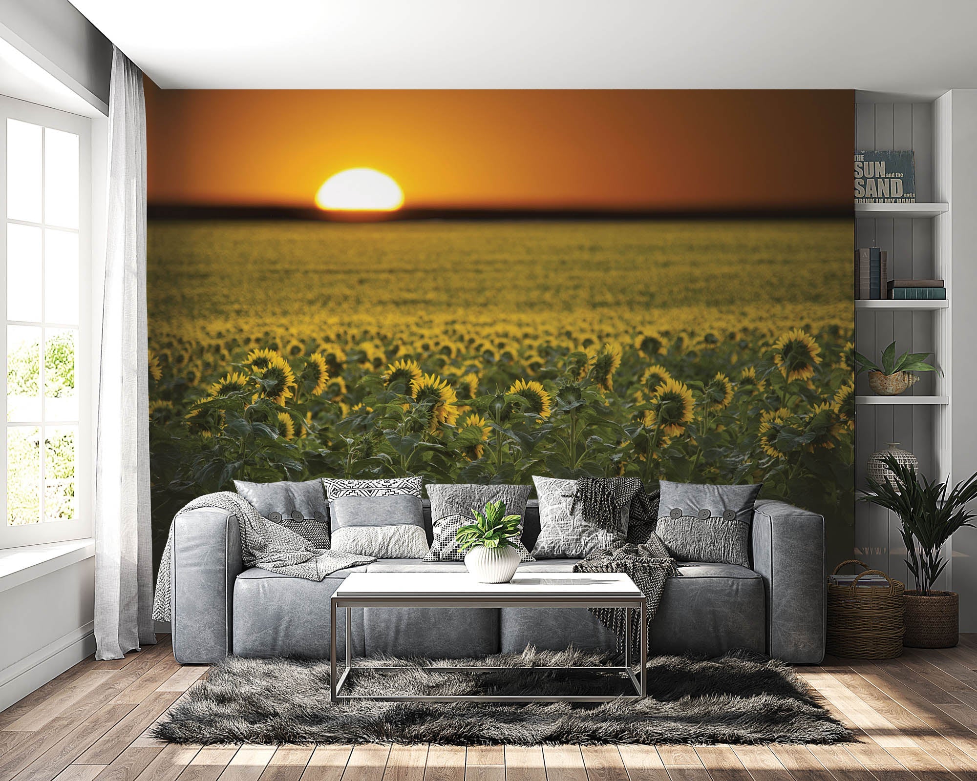 Zonnebloemenveld en zonsopgang - LW00253