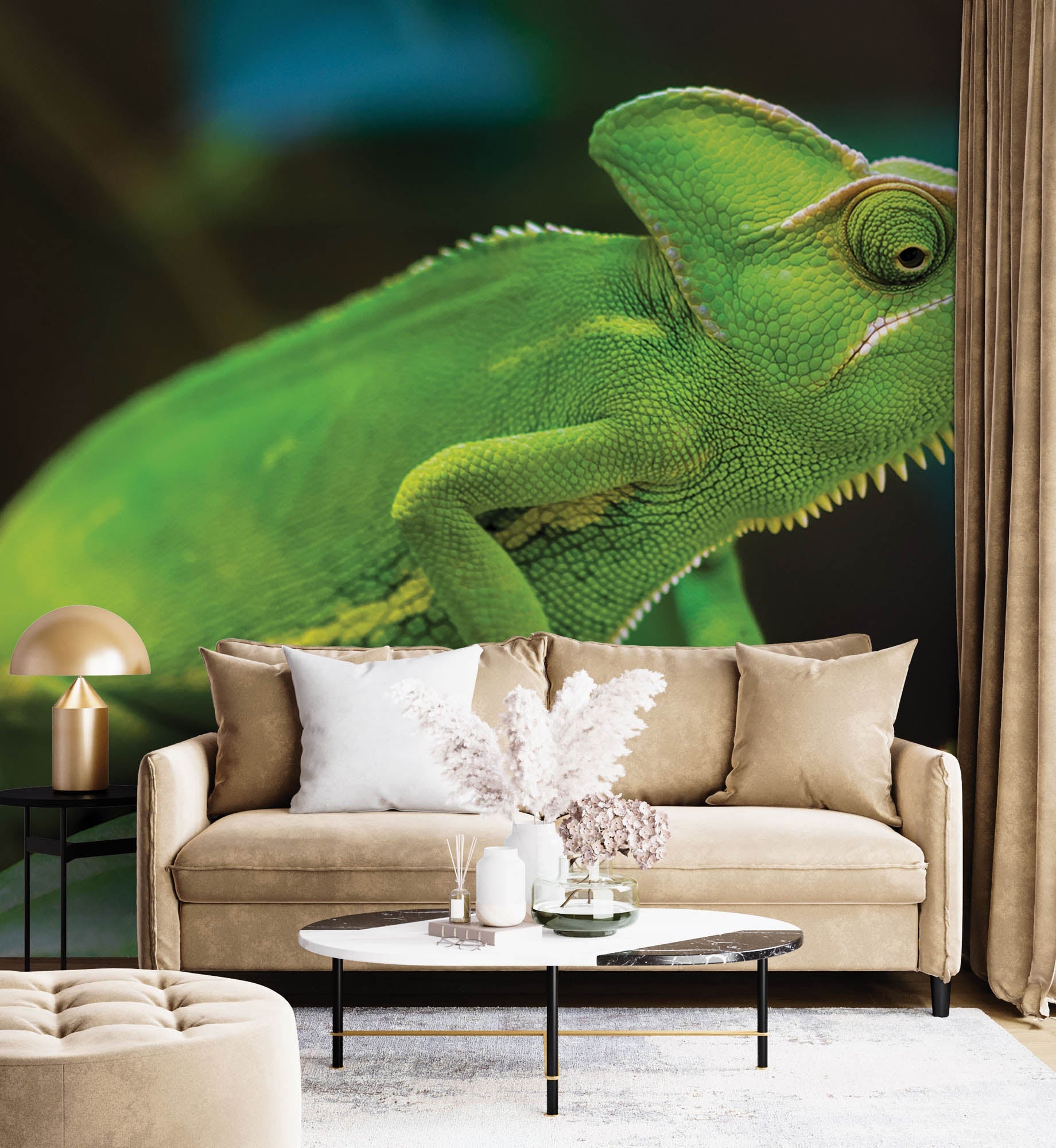 Caméléon sur une branche - LW00157