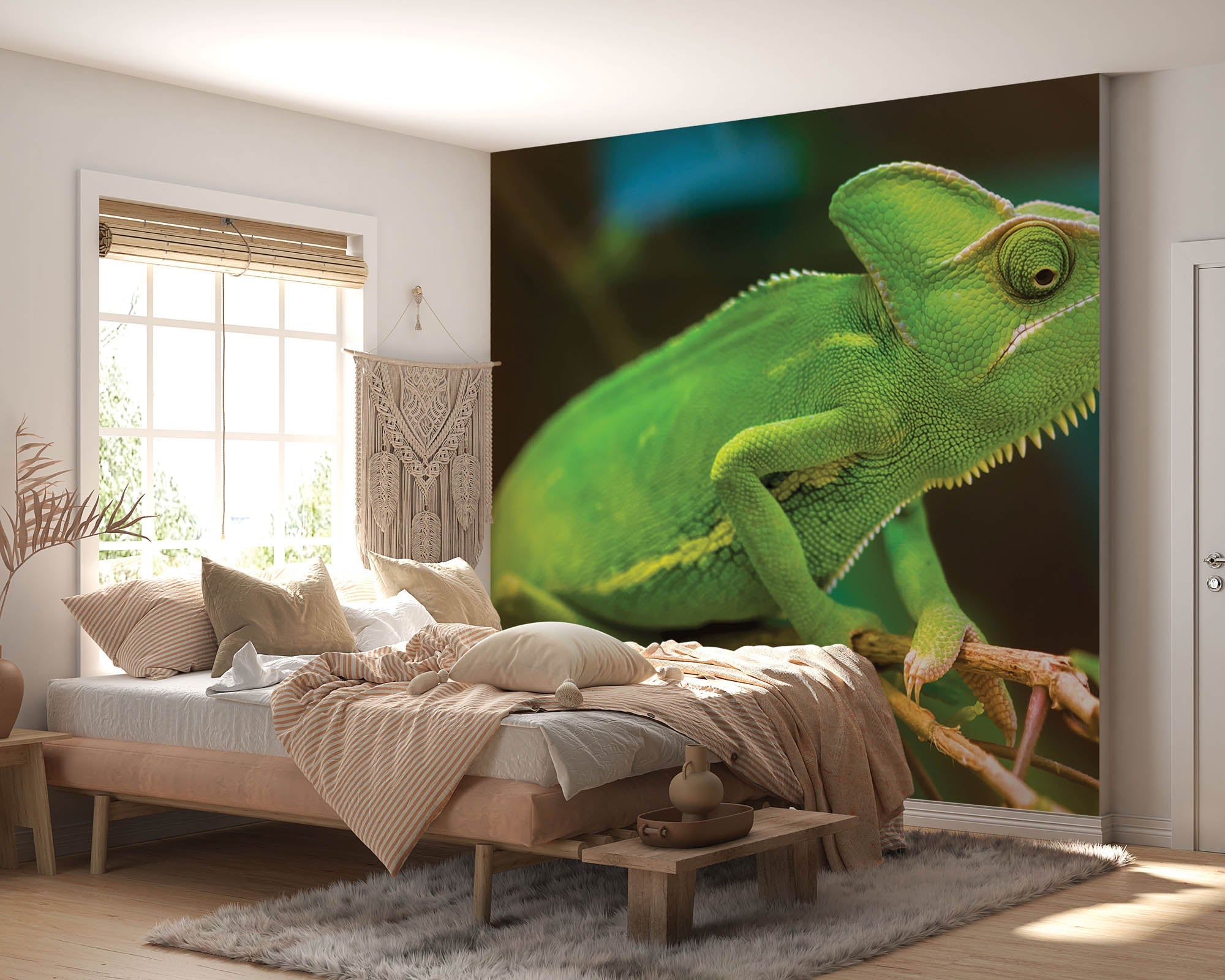 Caméléon sur une branche - LW00157