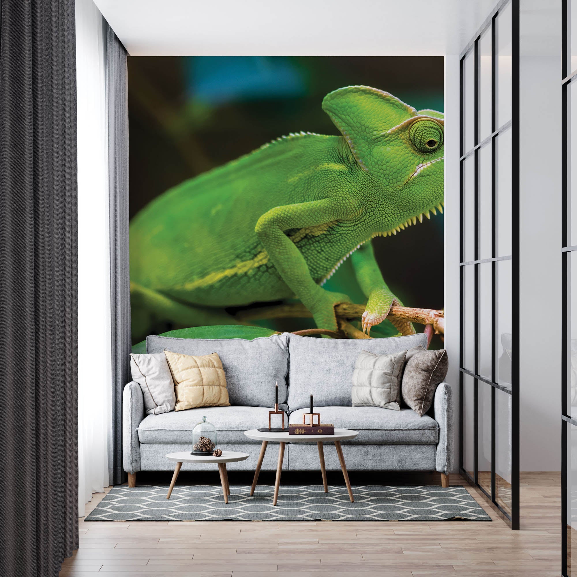 Caméléon sur une branche - LW00157