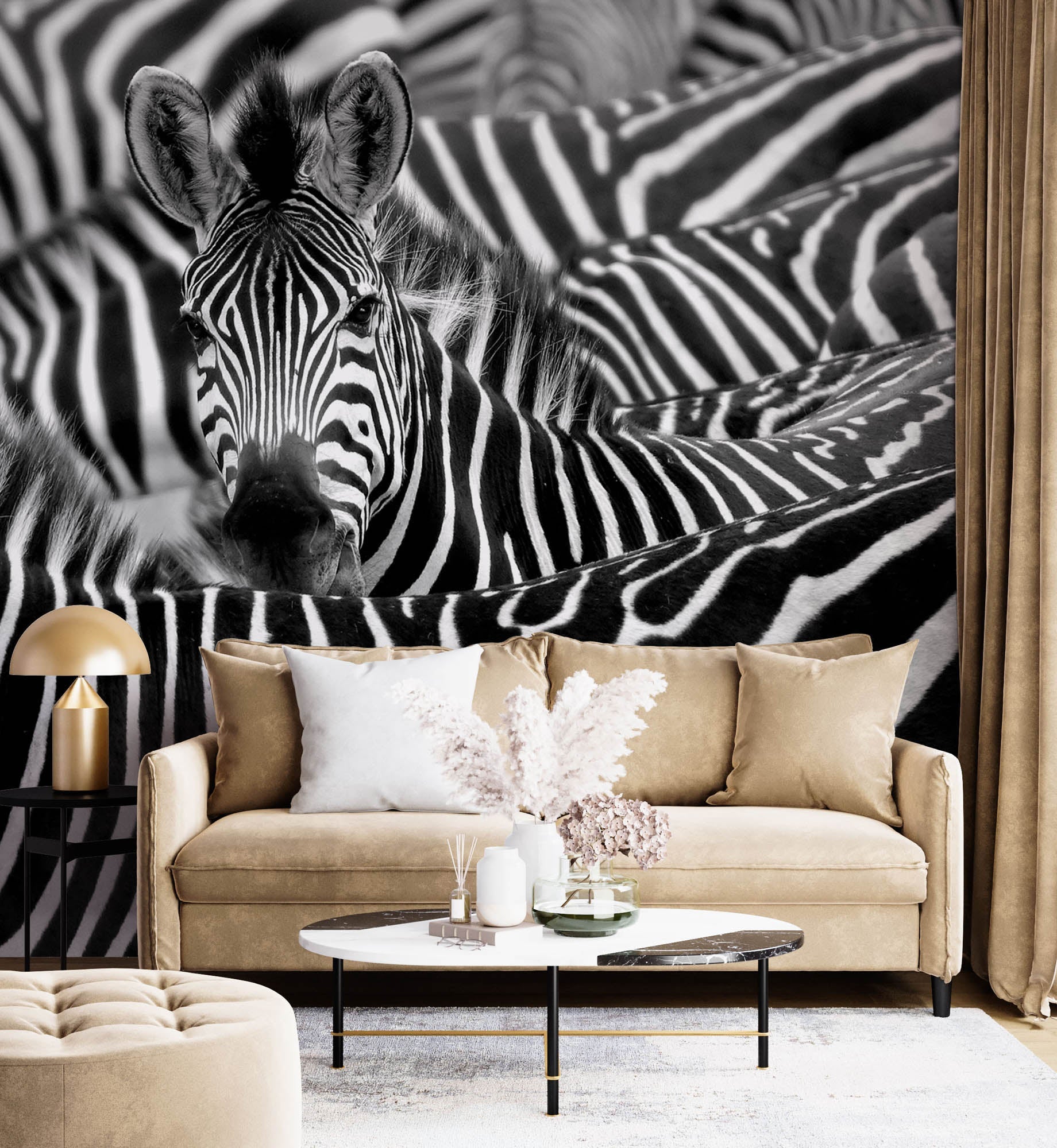 Zèbre mis en avant dans un troupeau - LW00216