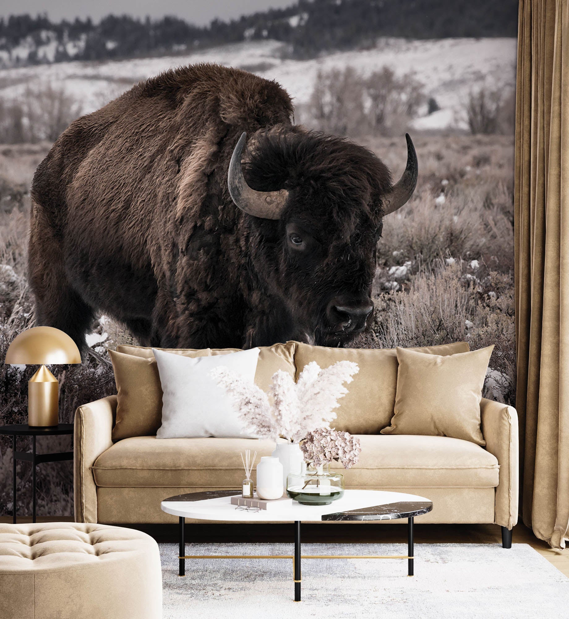 Bison dans la prairie - LW00162