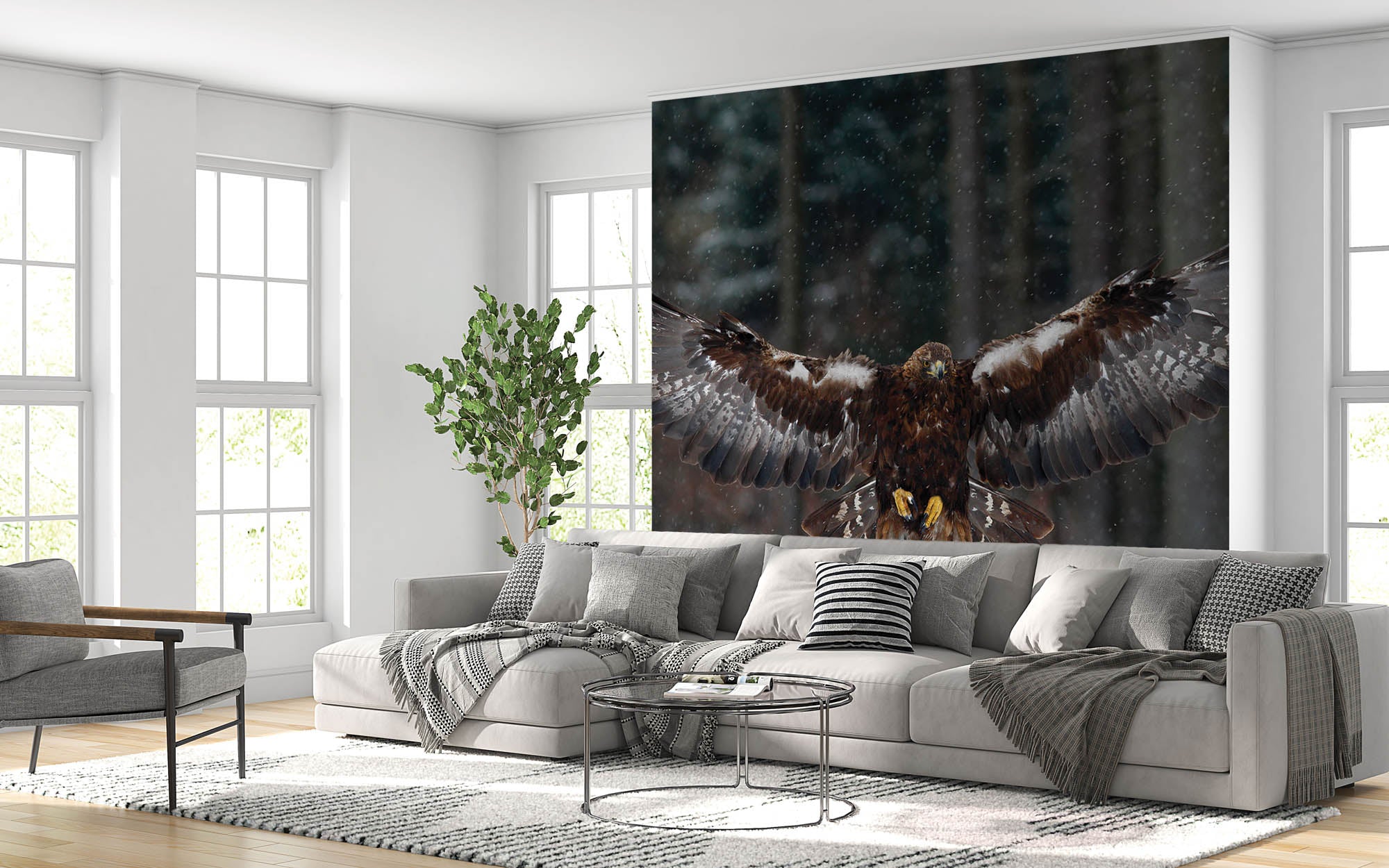 Aigle volant - LW00164