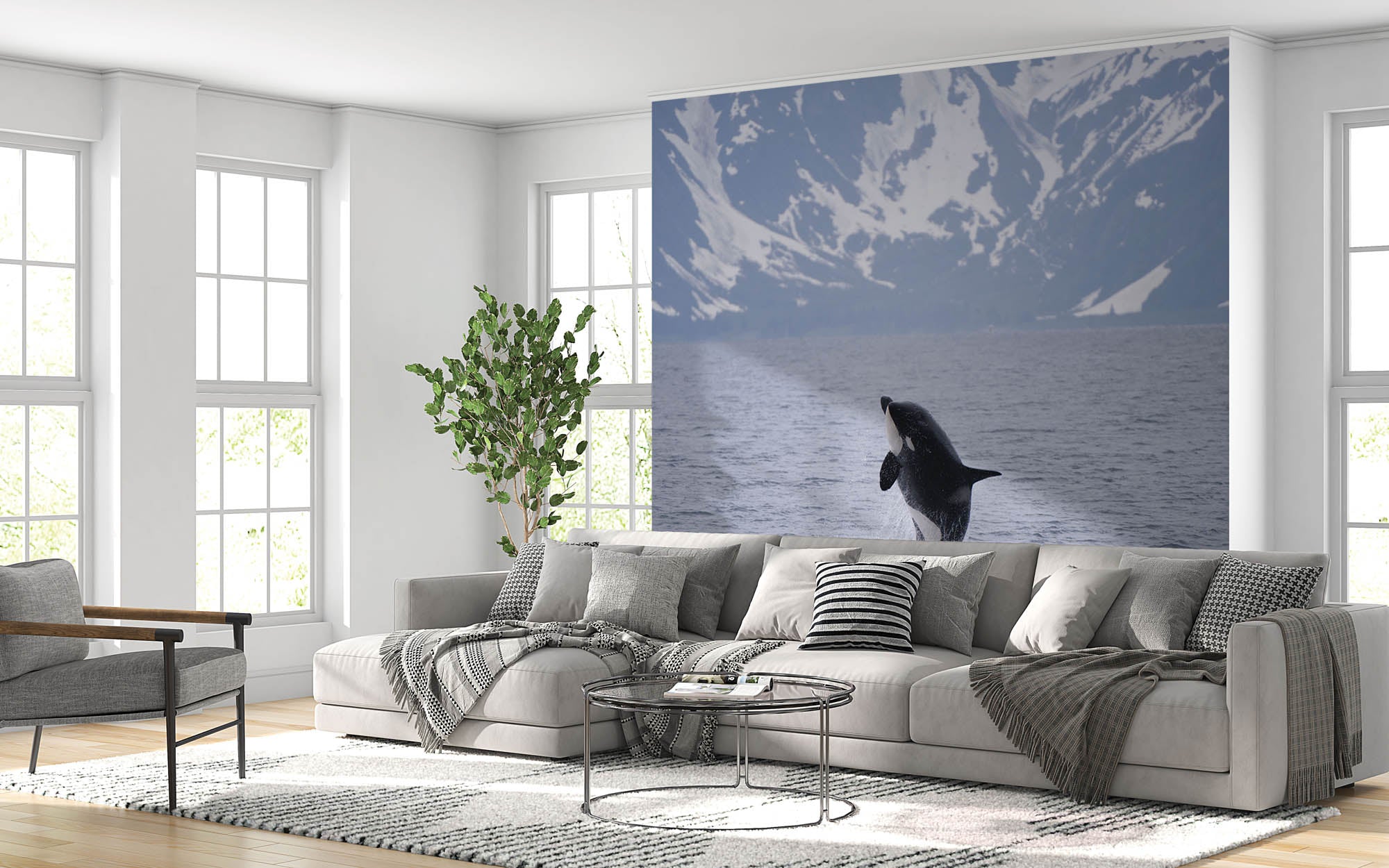 Springende orka - LW00166