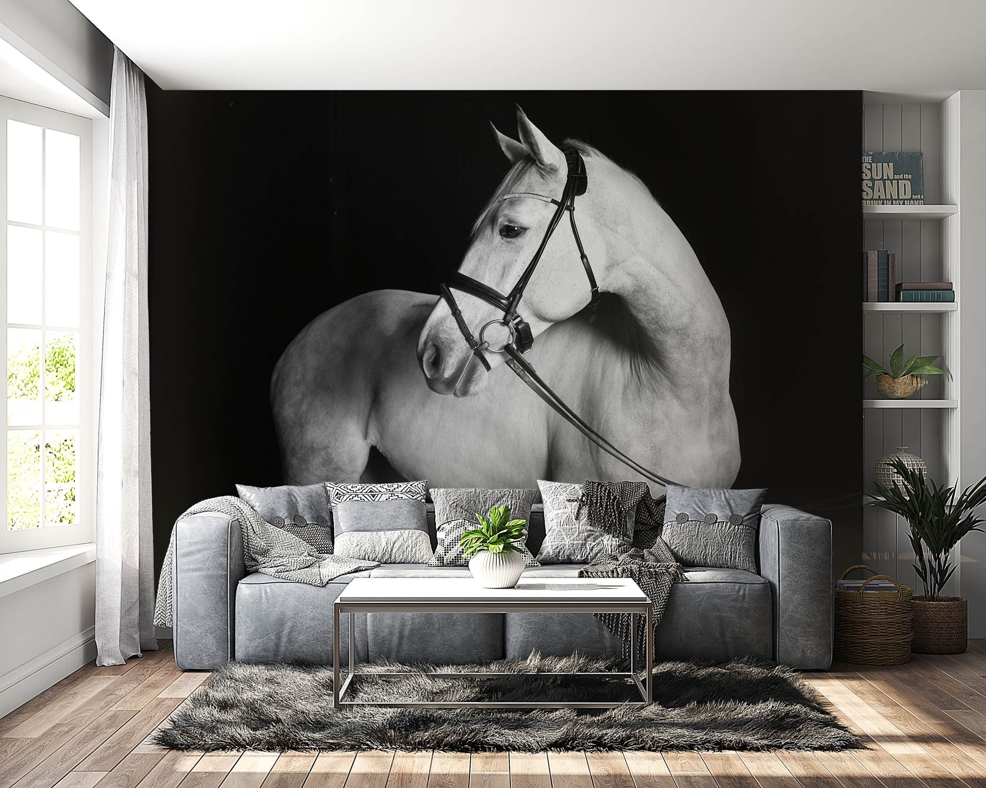 Holsteiner paard - LW00223