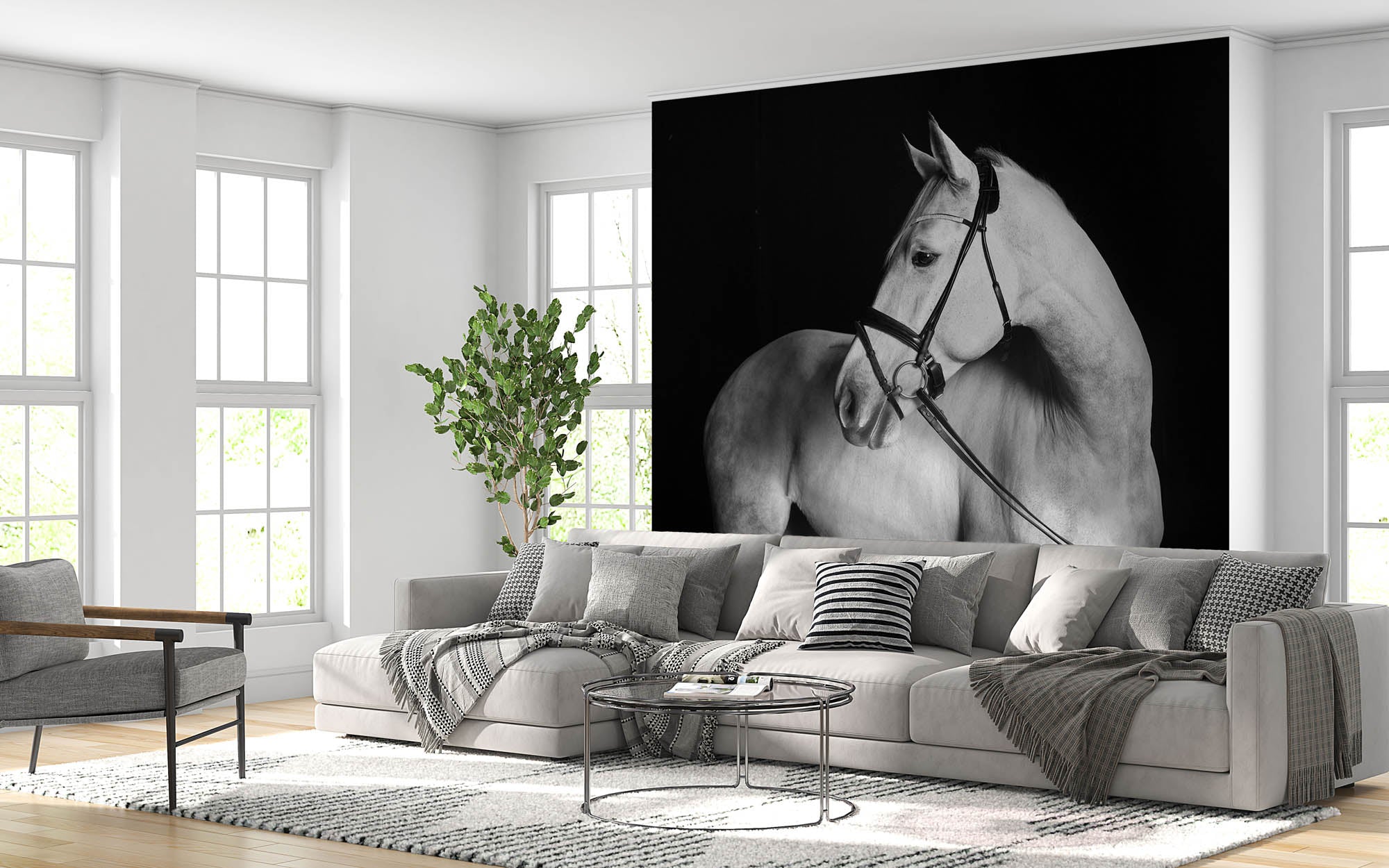 Holsteiner paard - LW00223