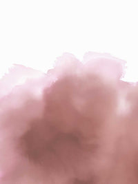 Eijffinger Waterfront 300917