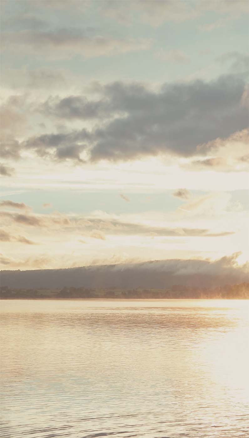 Eijffinger Wallpower Favourites 309023