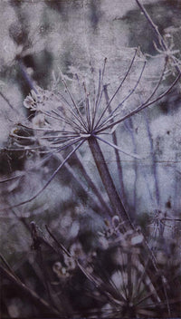 Eijffinger Wallpower Favourites 309026