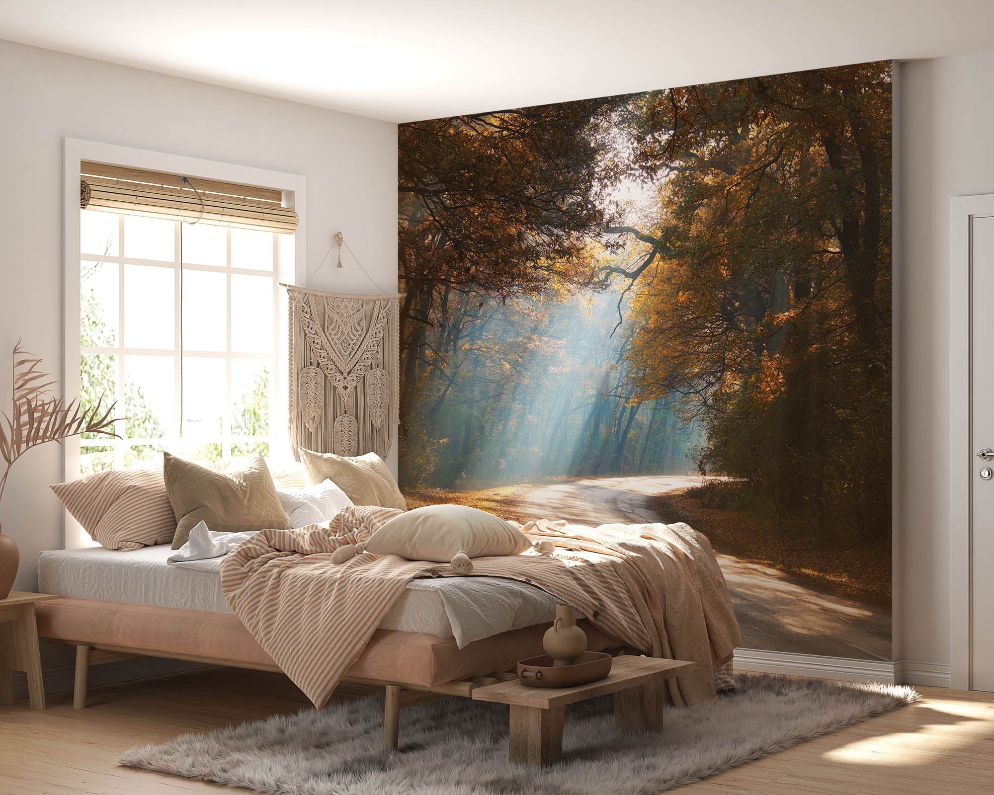 Een weg door mistig herfstbos - LW00259