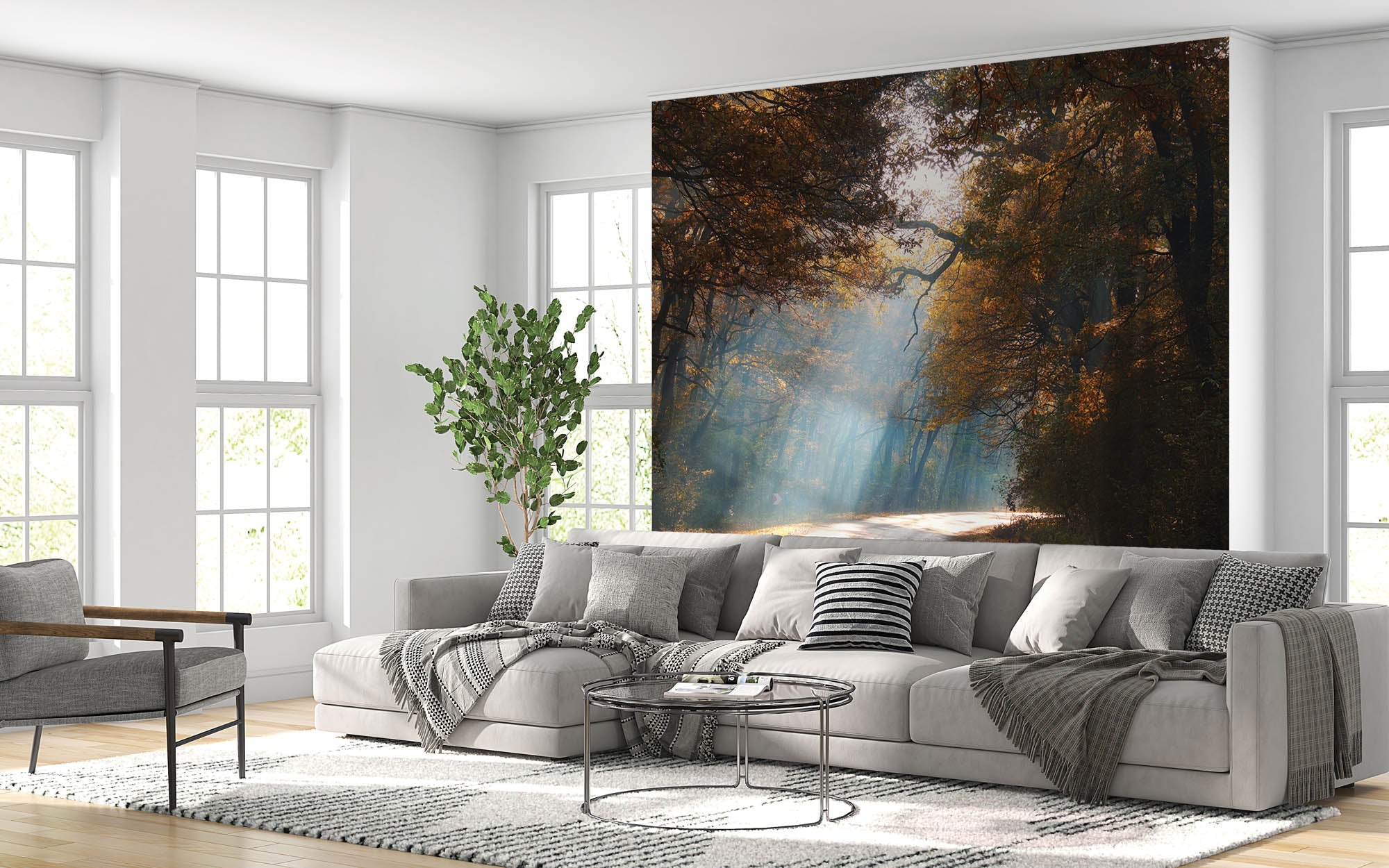 Een weg door mistig herfstbos - LW00259