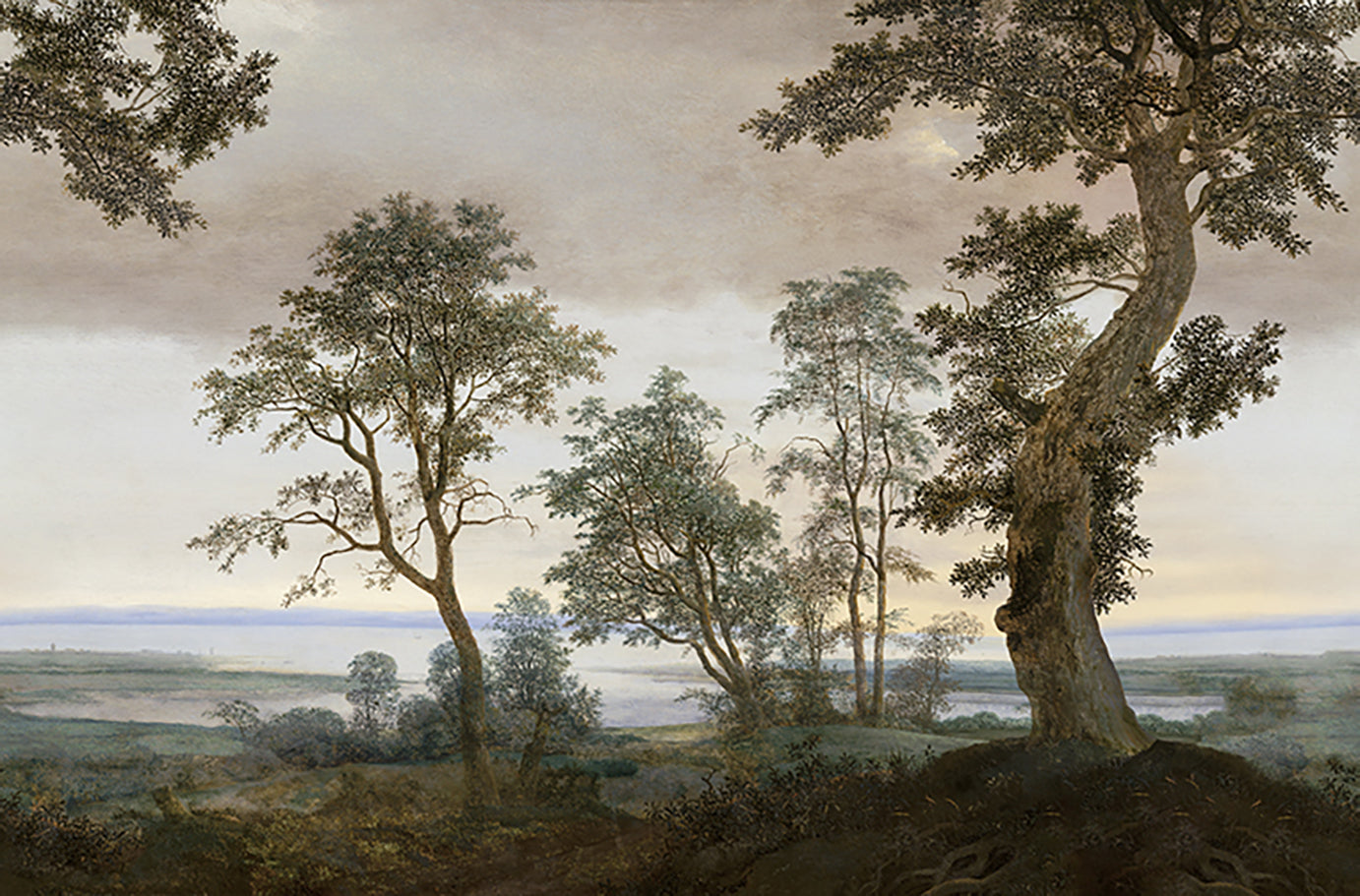 Eijffinger Magnifique 351290