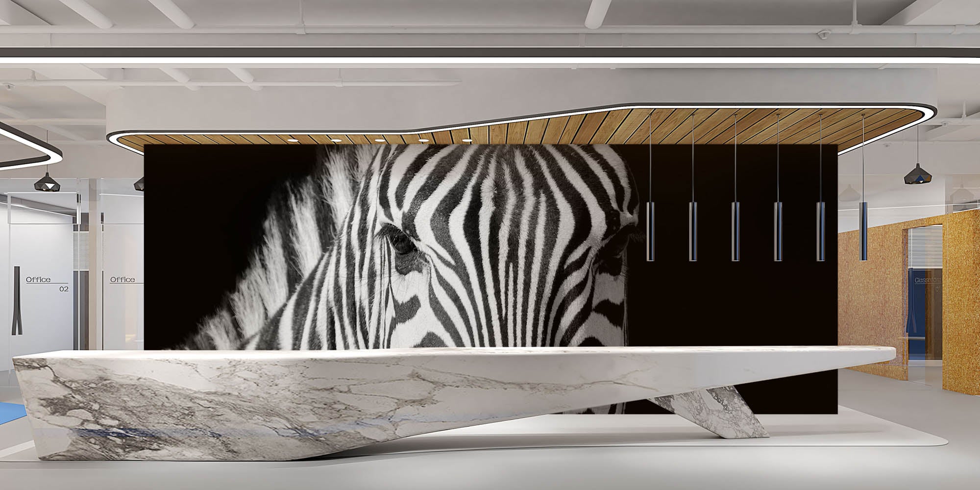 Zebra portret - LW00224