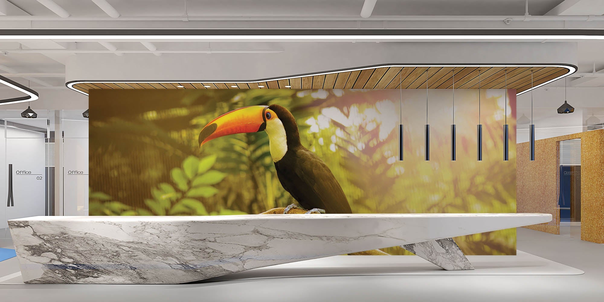 Reuzentoekan op tak - LW00171