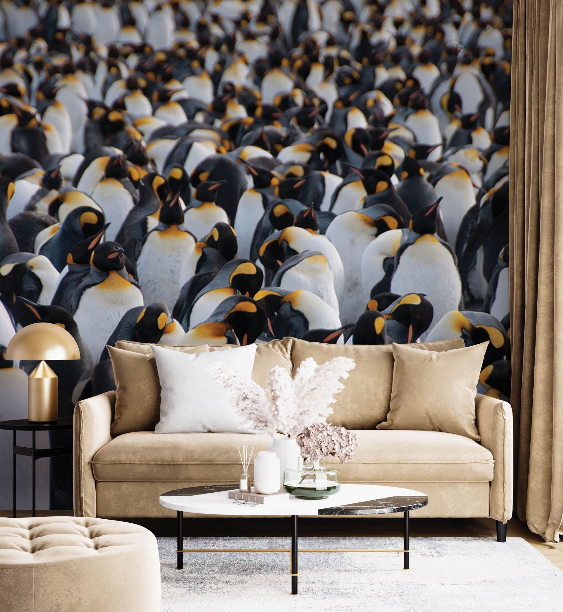 Kolonie koningspinguïns - LW00176