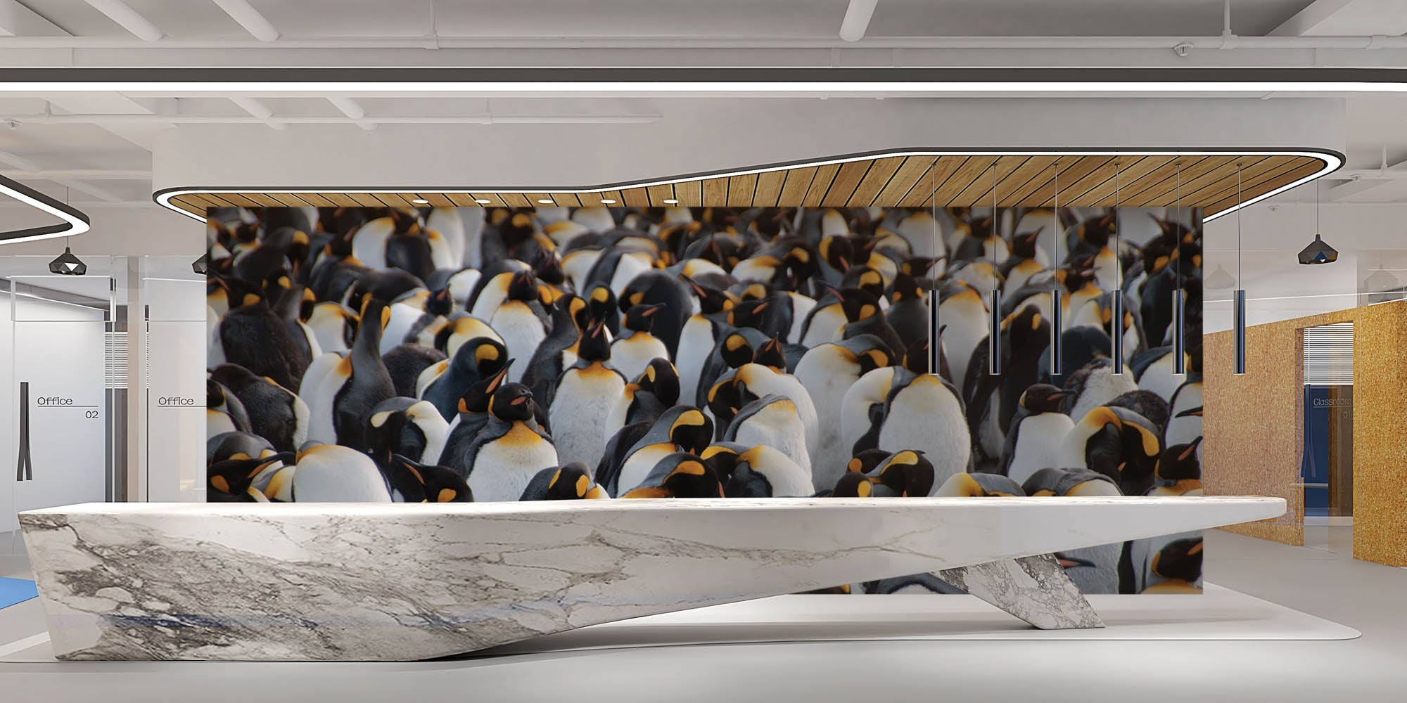 Kolonie koningspinguïns - LW00176