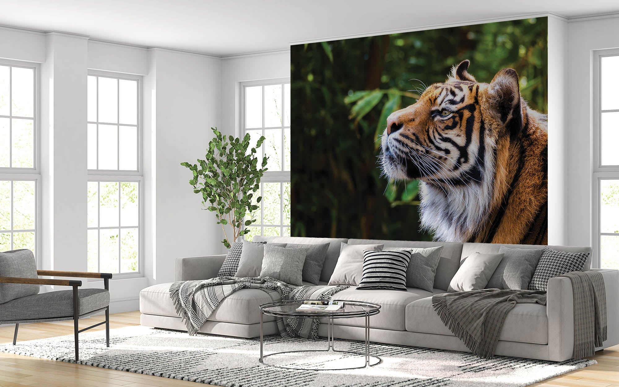 Tijger zijaanzicht kop - LW00177