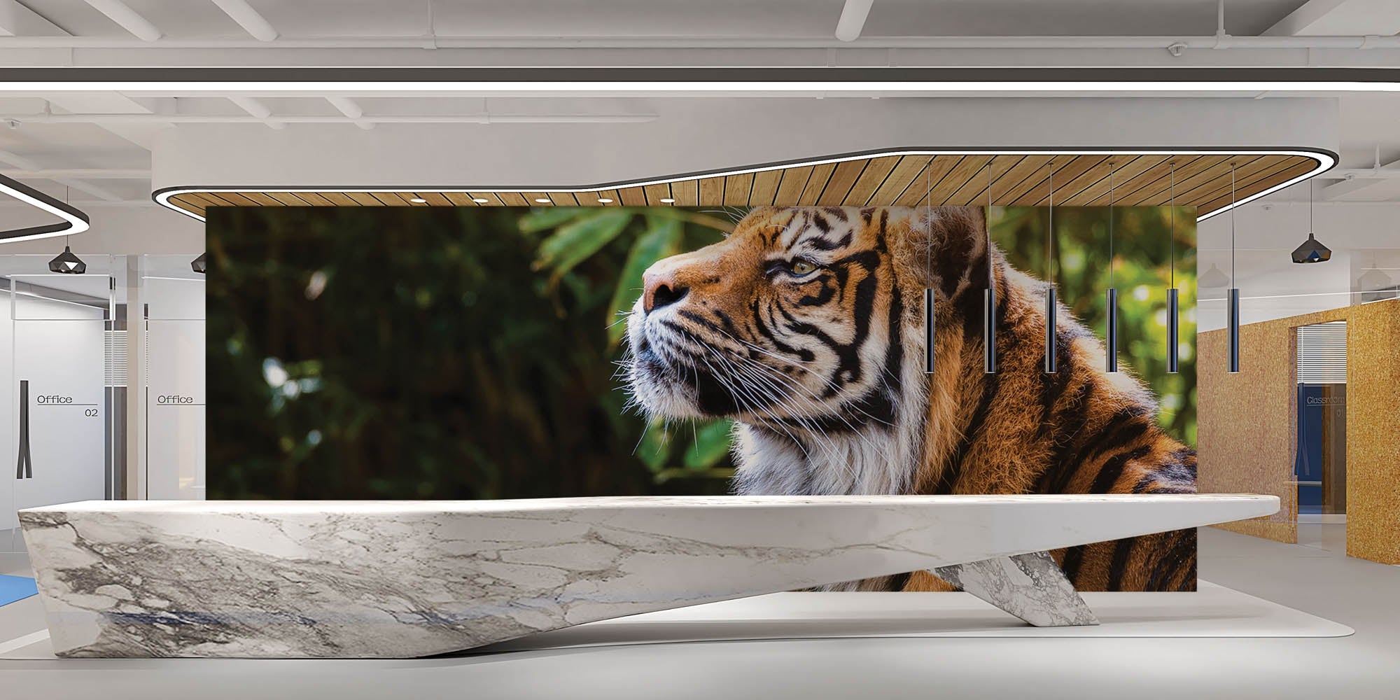 Tijger zijaanzicht kop - LW00177