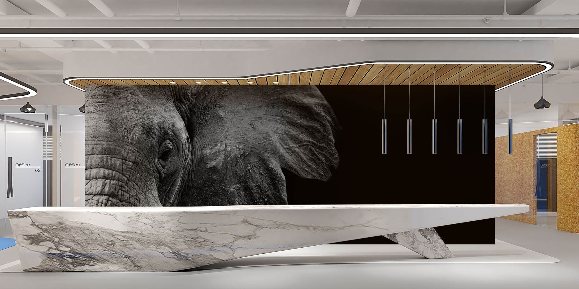 Half beeld van olifantenhoofd in zwart-wit - LW00231