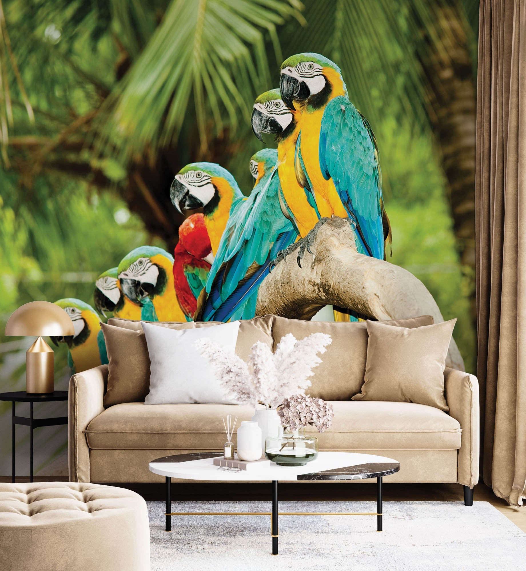 kleurrijke papegaaien - LW00149