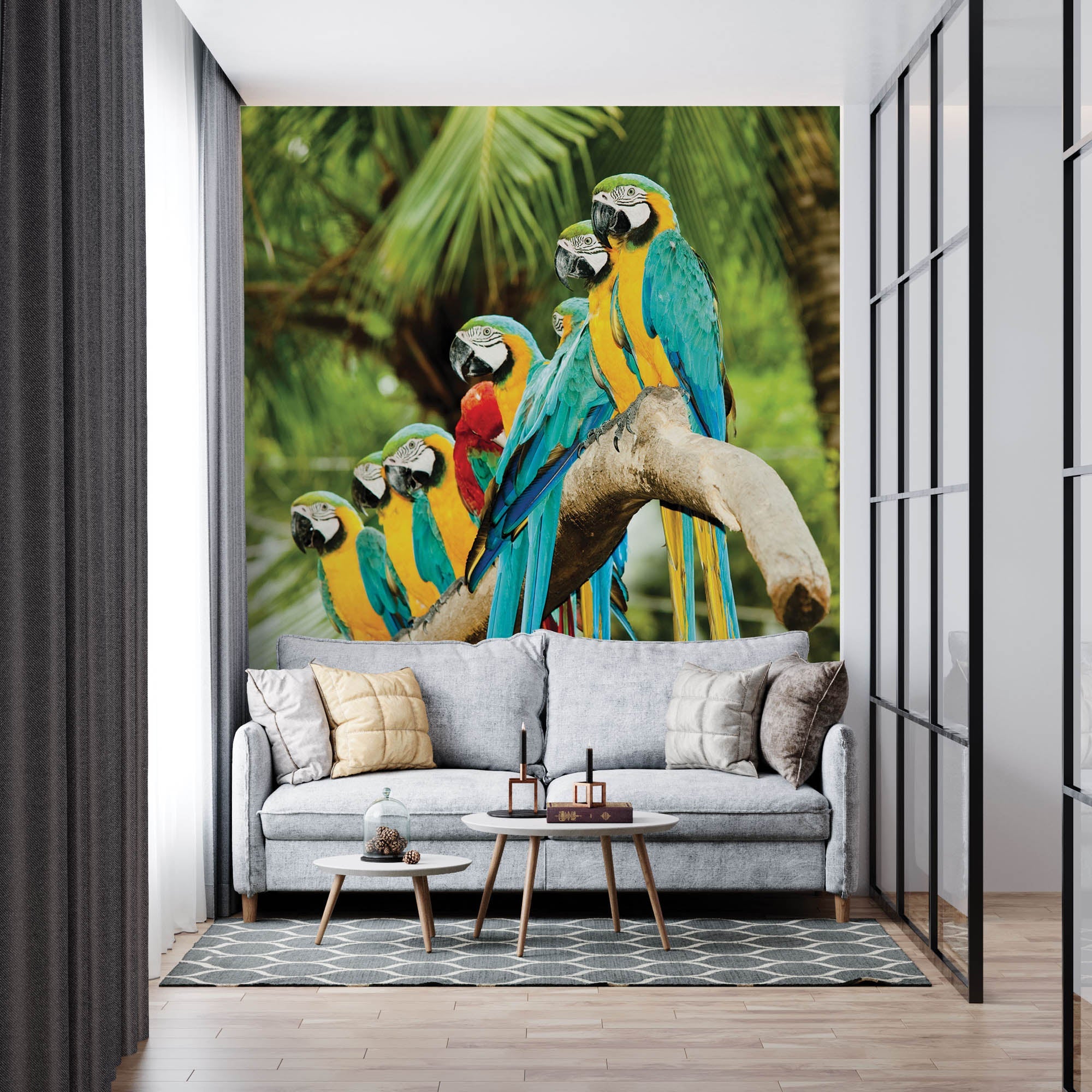 kleurrijke papegaaien - LW00149