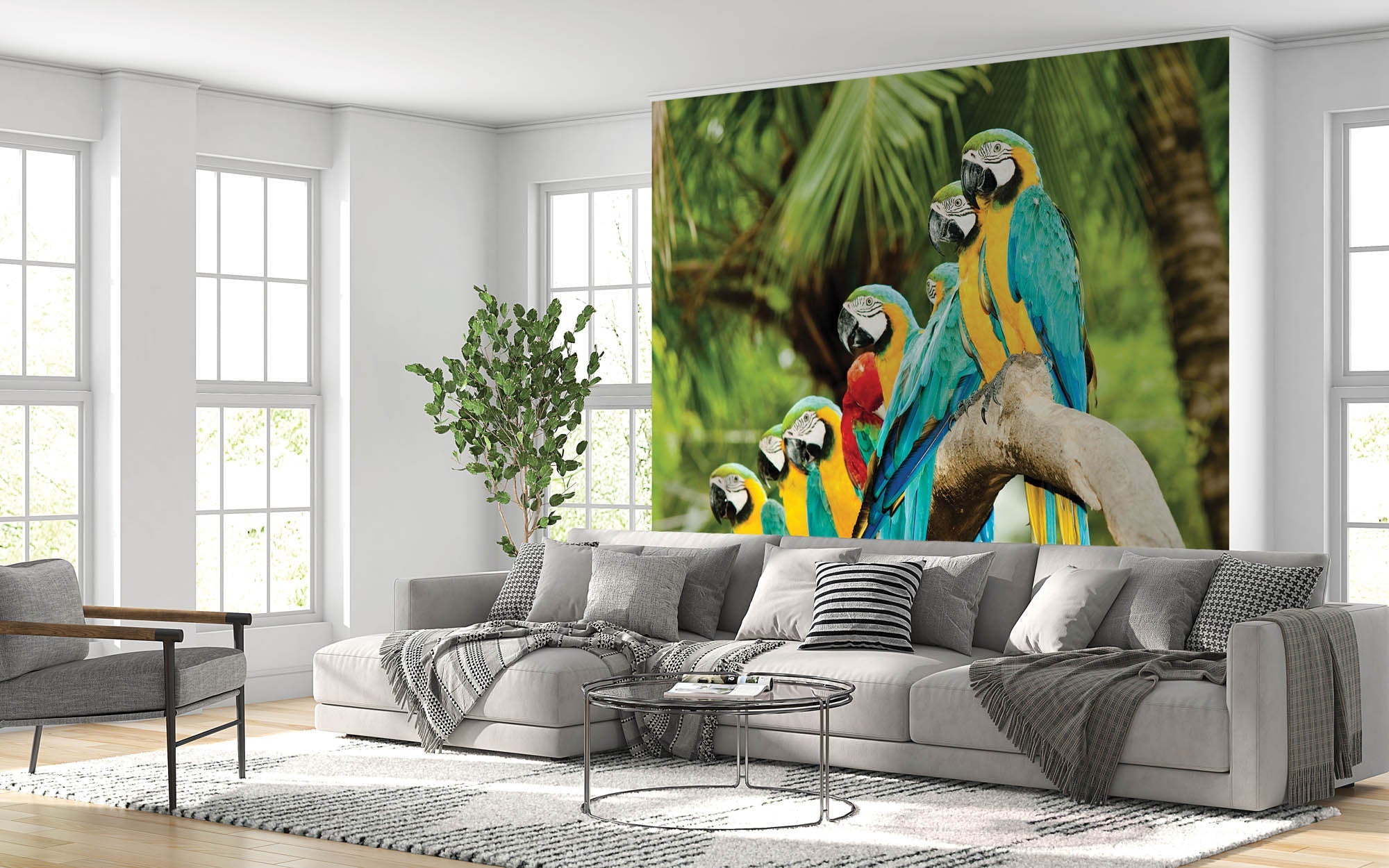 kleurrijke papegaaien - LW00149