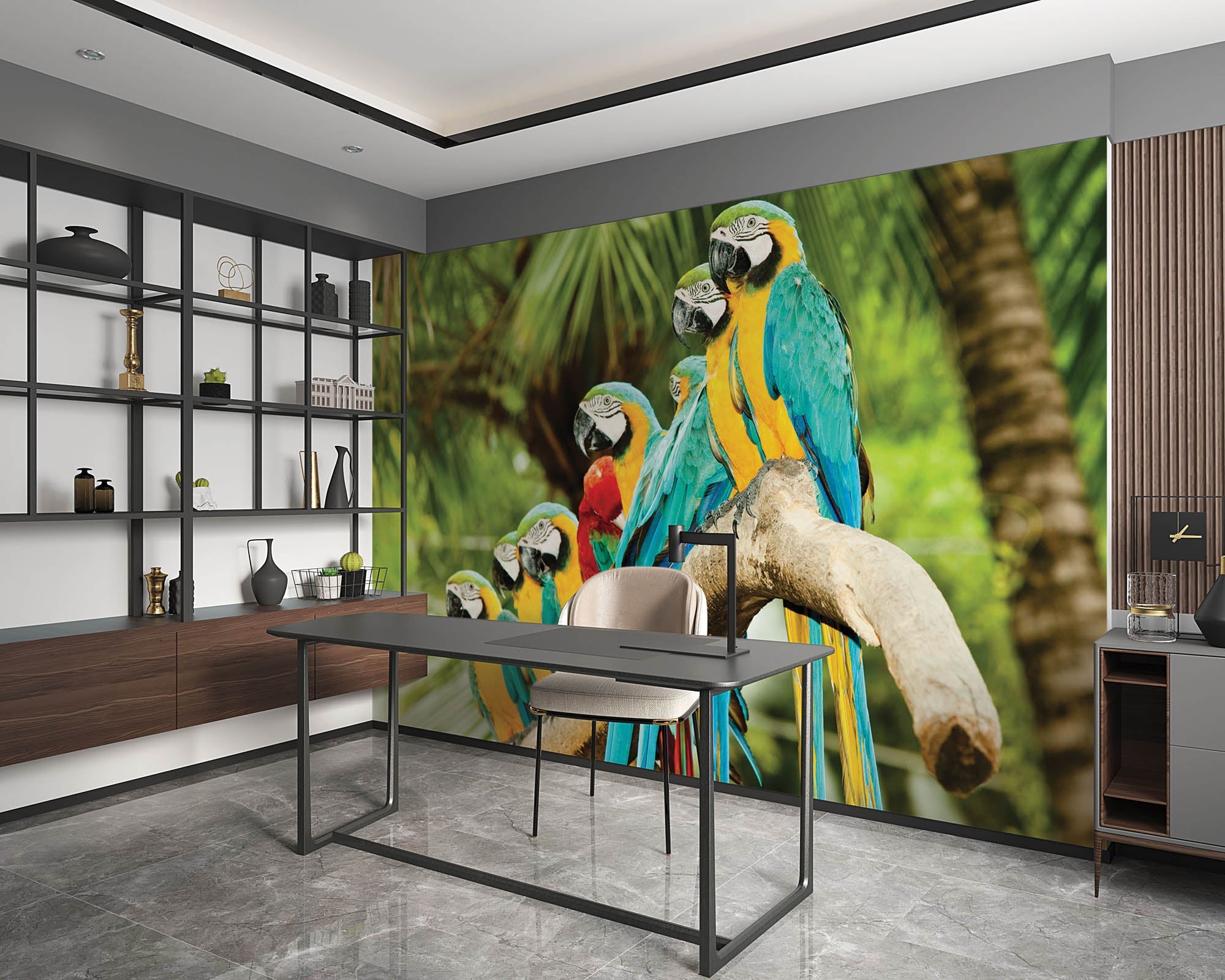 kleurrijke papegaaien - LW00149