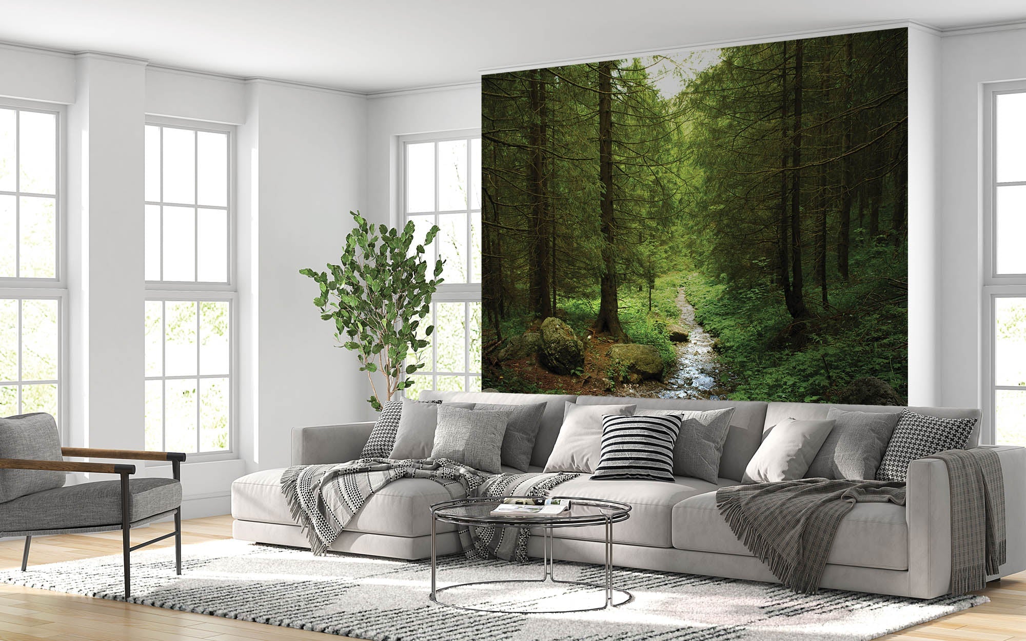 Voetpad door het bos - LW00269