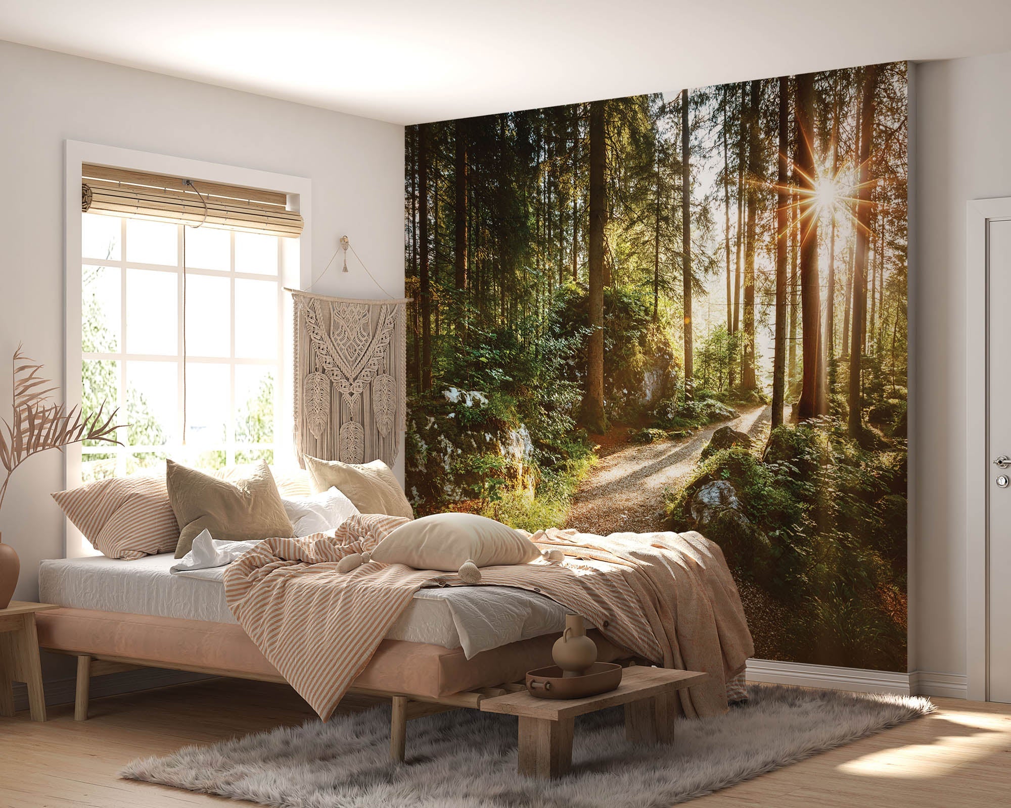 Un sentier à travers une forêt verte avec des rayons de soleil - LW00271