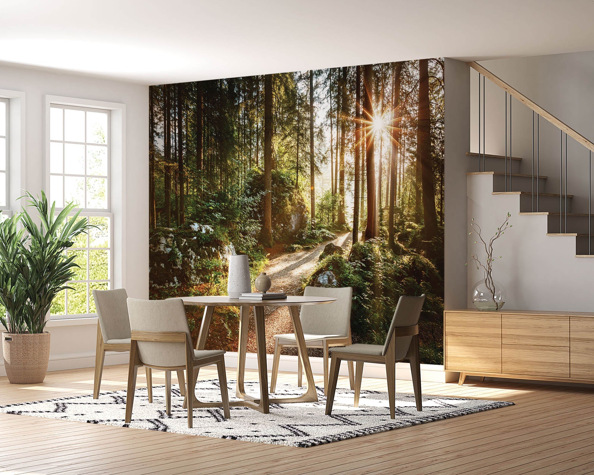 Un sentier à travers une forêt verte avec des rayons de soleil - LW00271