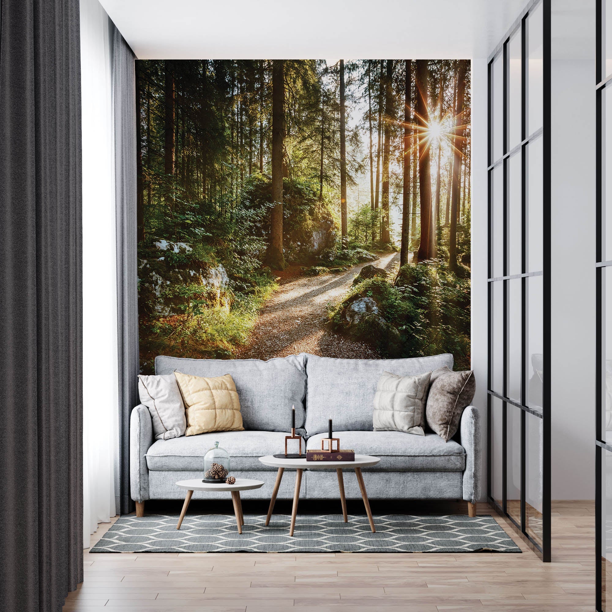 Un sentier à travers une forêt verte avec des rayons de soleil - LW00271