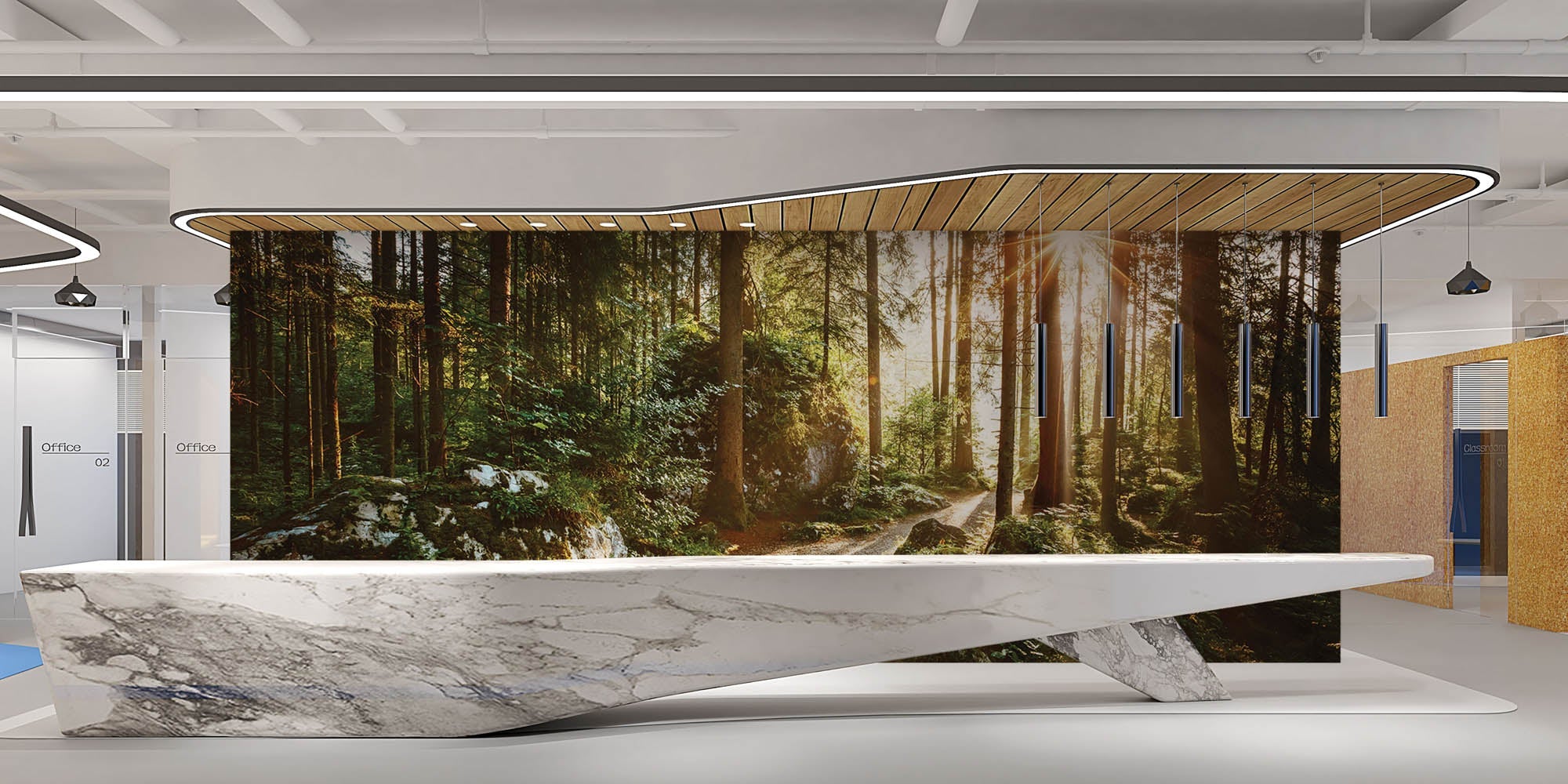 Un sentier à travers une forêt verte avec des rayons de soleil - LW00271