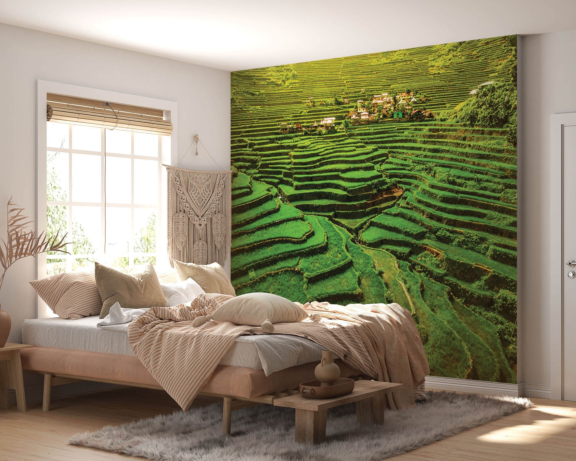 Rijstvelden Filipijnen - LW00083