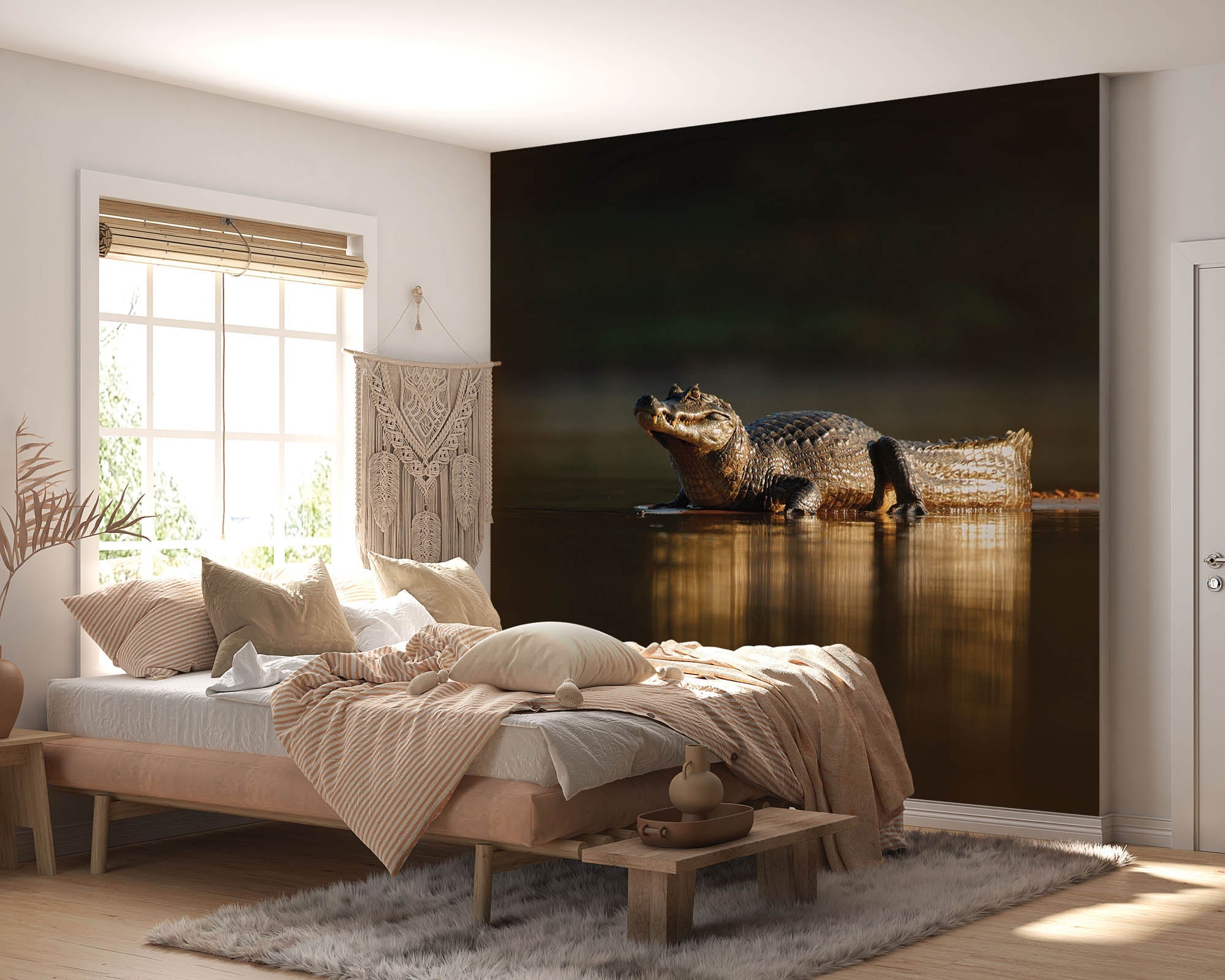 Yacarekaaiman in avondzon - LW00180