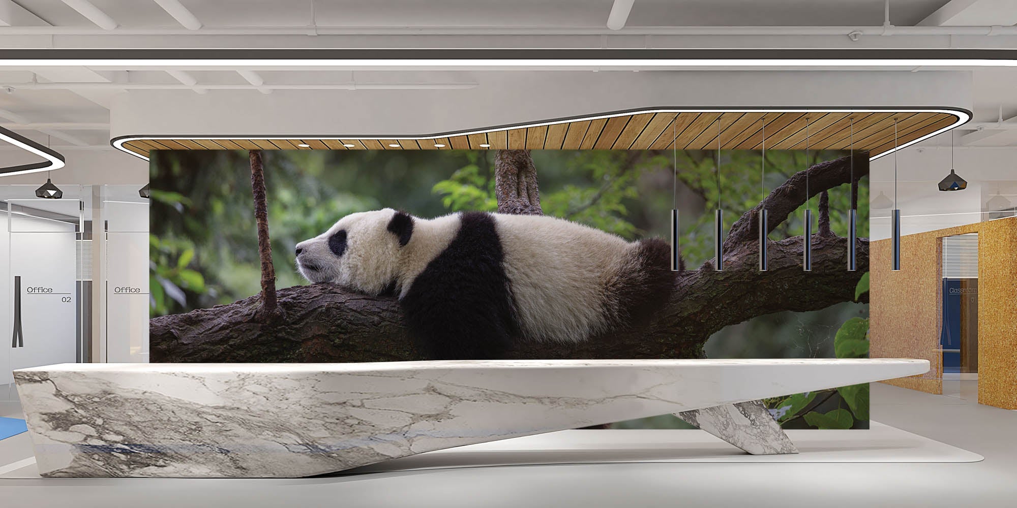 Slapende panda op tak - LW00182